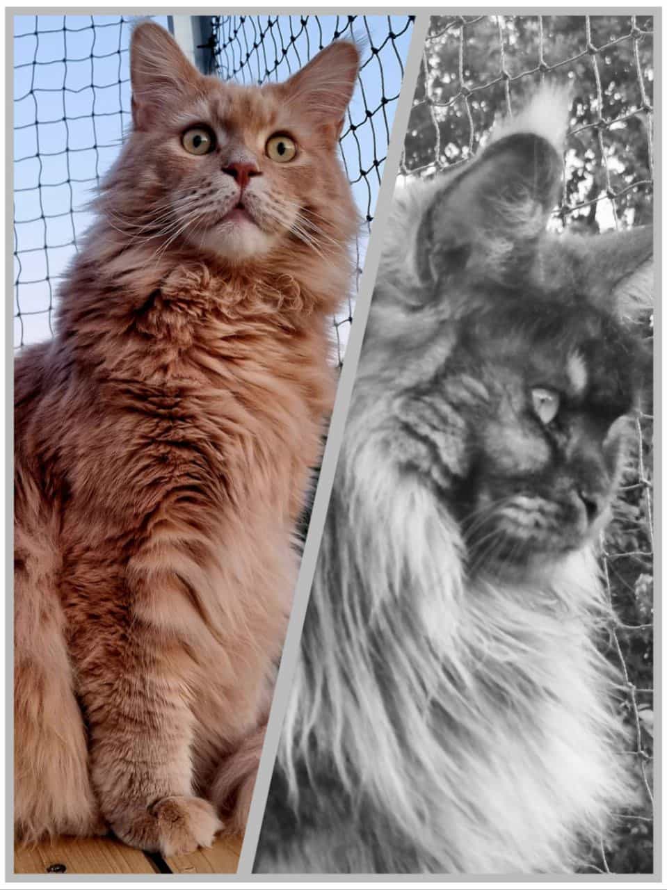 Justus und Franka Justus und Franka