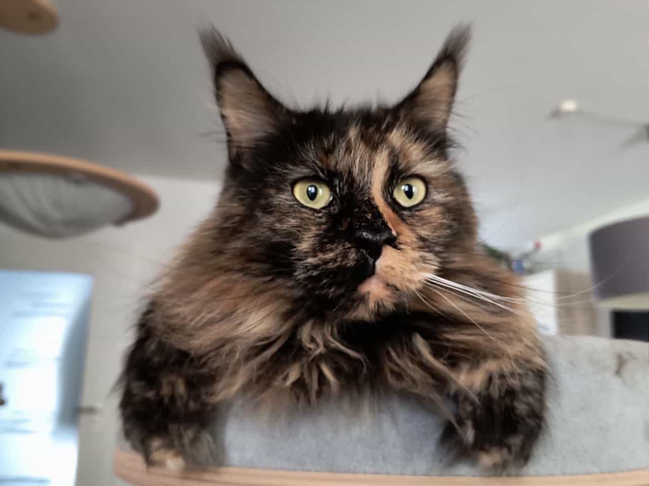 Jutta die Tochter von Wilma Jutta die Tochter von Wilma