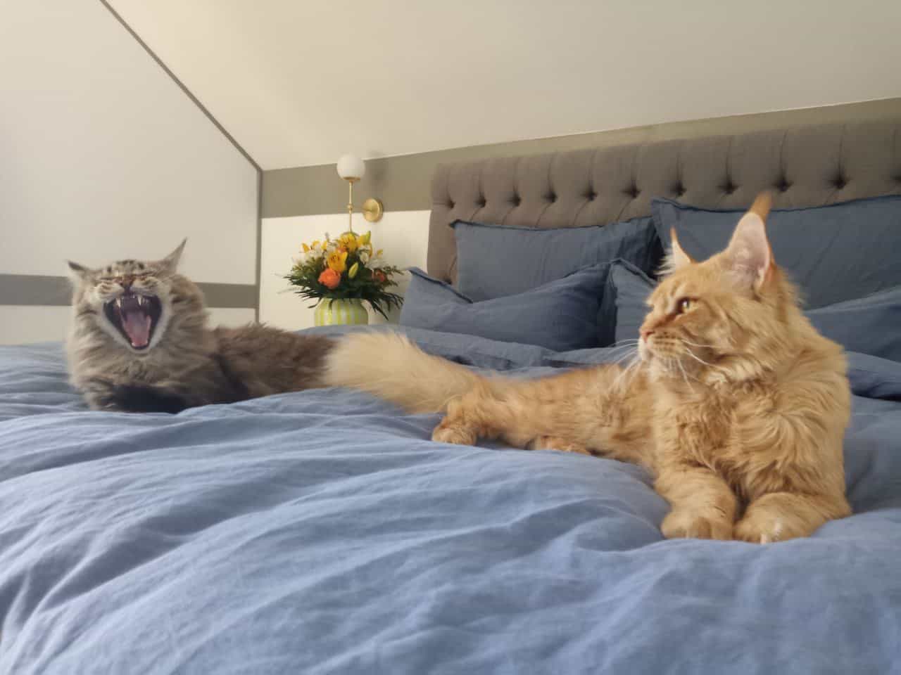 Nick und Dave Nick und Dave