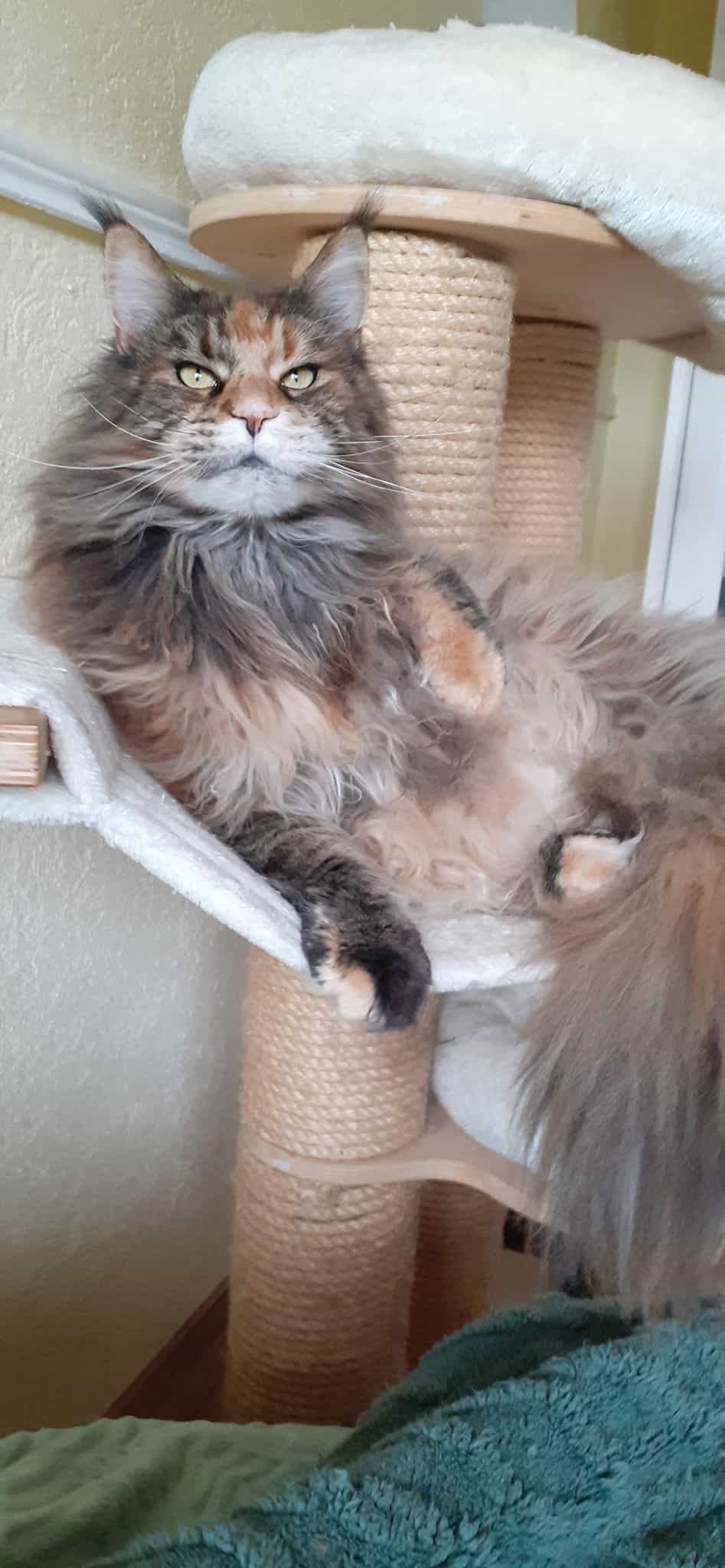 Peggy 7 Jahre alt Peggy 7 Jahre alt