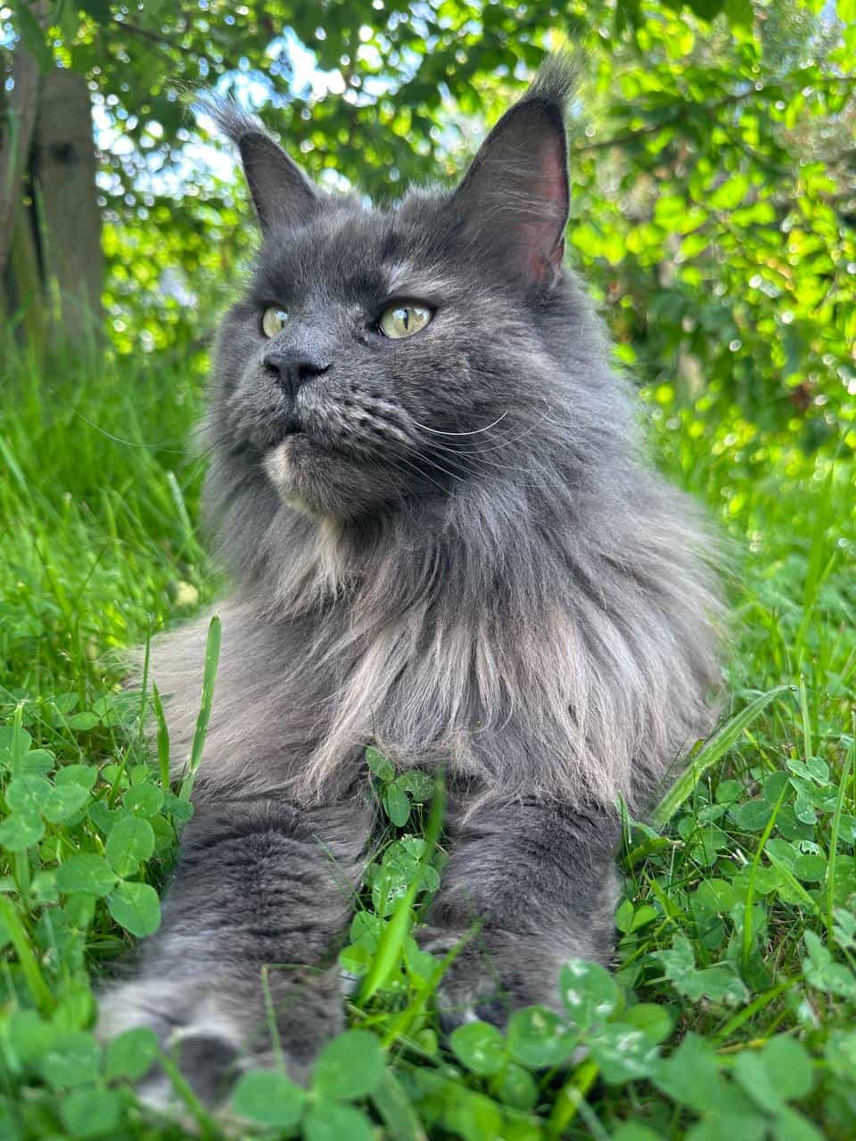 Uschi genießt die Sonne Uschi genießt die Sonne