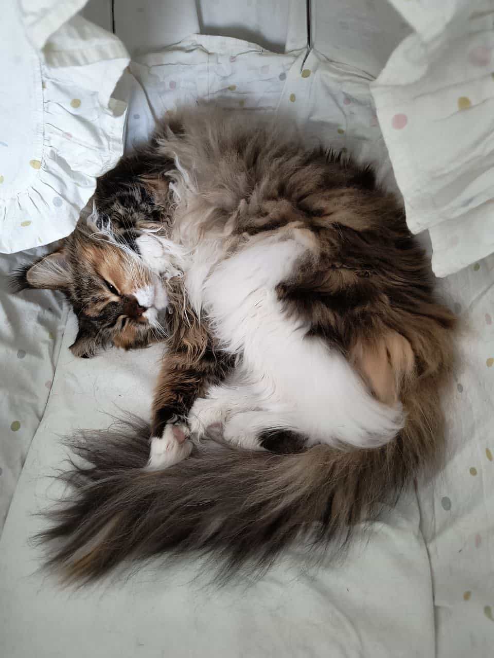 Wilma will nicht aufstehen Wilma will nicht aufstehen