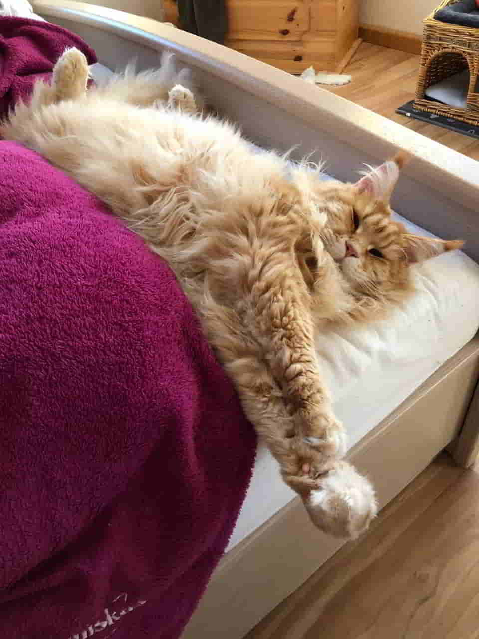 Adam ist müde Adam ist müde