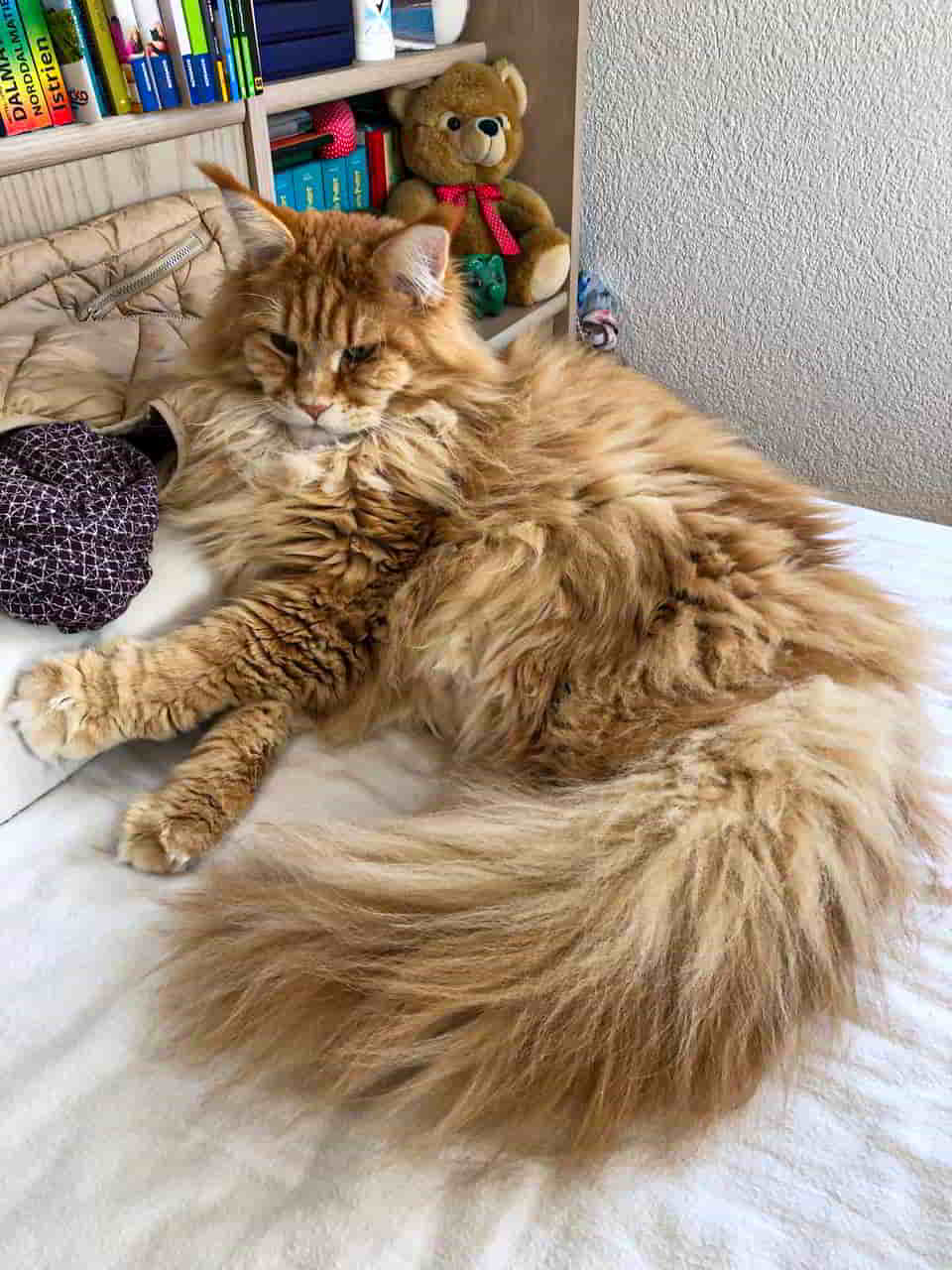 Adam sagt Guten Morgen Adam sagt Guten Morgen