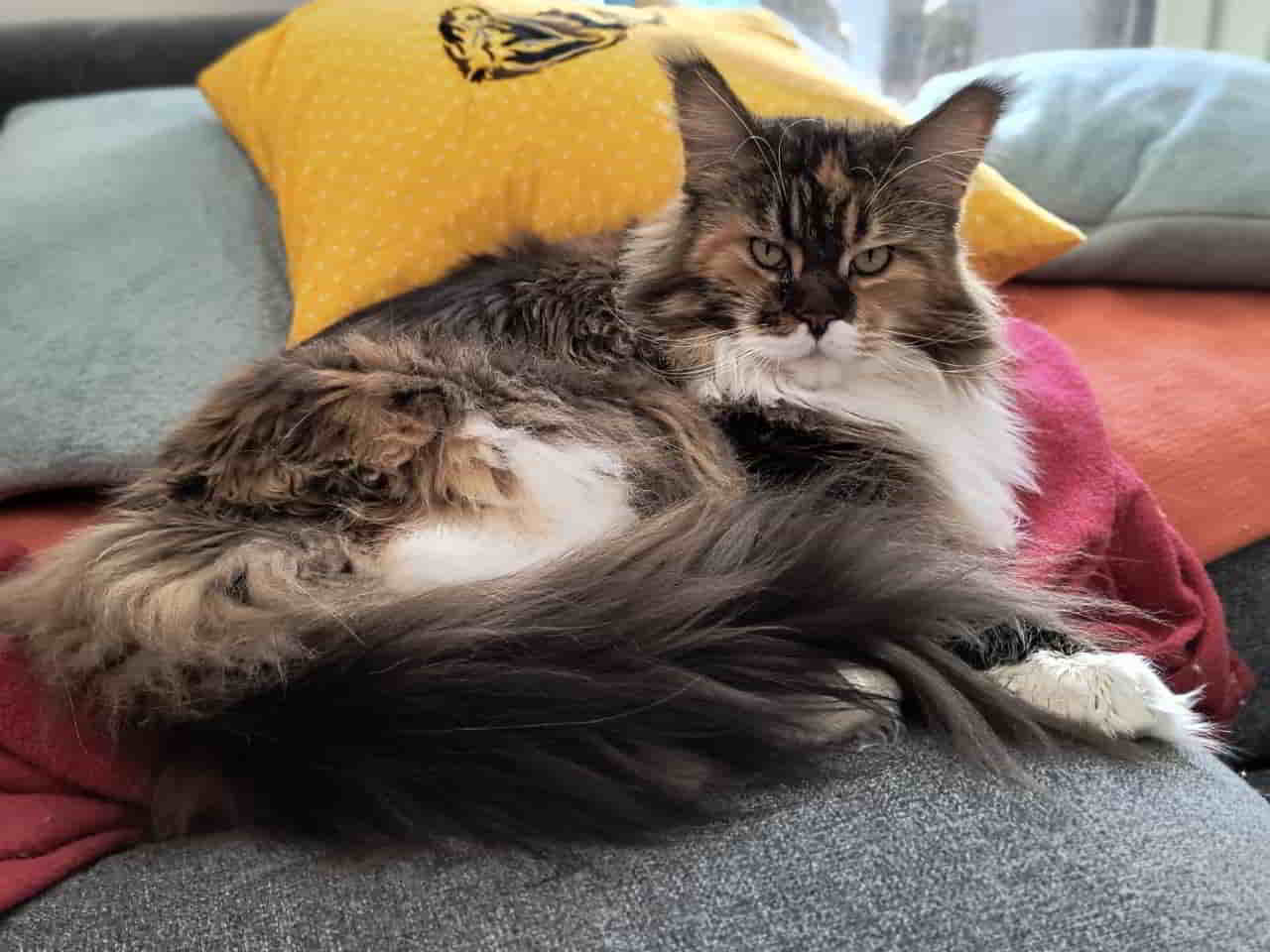 Also diese Wilma…. Also diese Wilma....