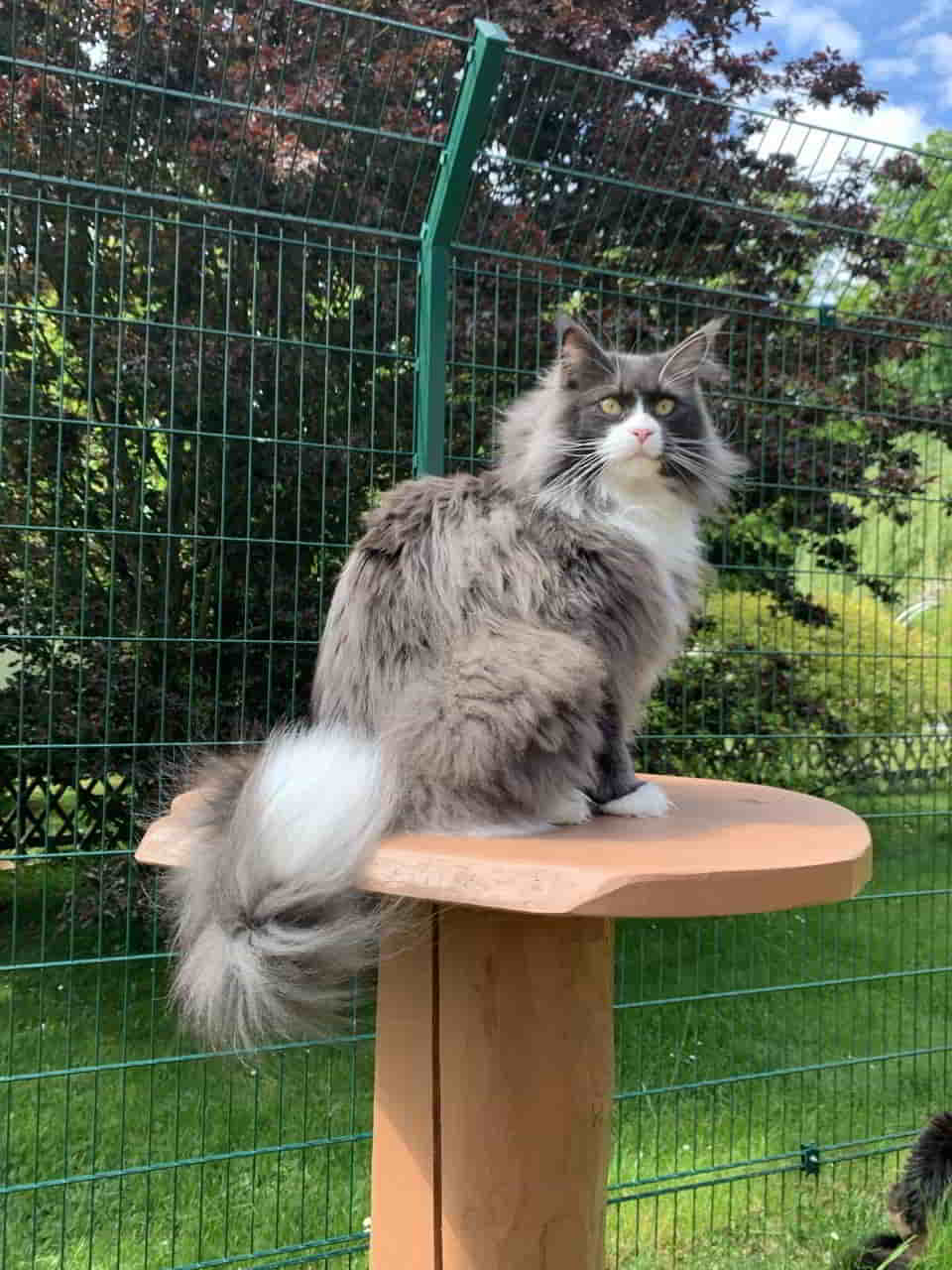 Ein schönes Wochenende wünscht euch Molly Ein schönes Wochenende wünscht euch Molly