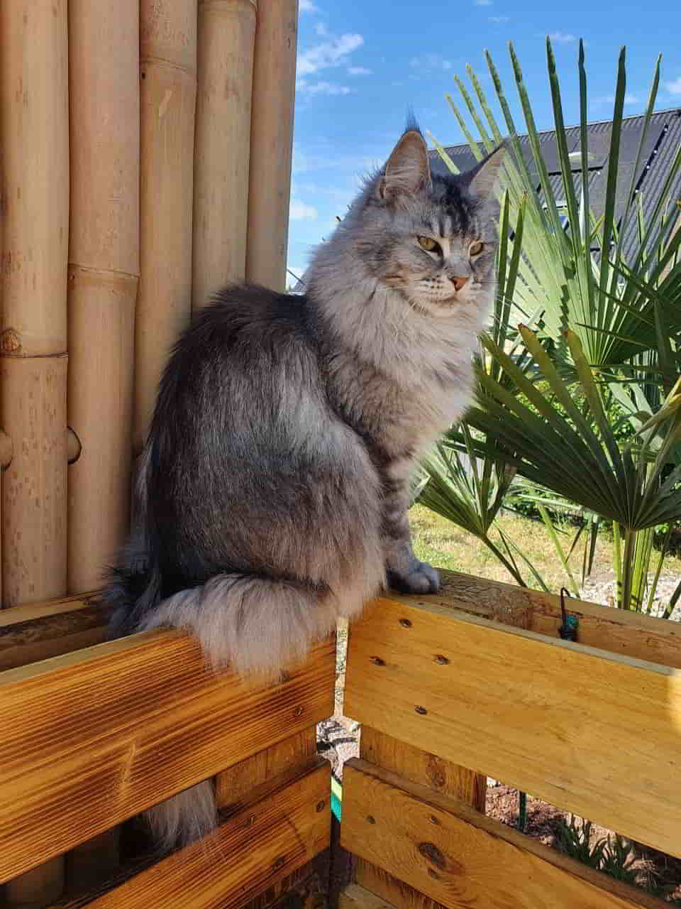 Franny wünscht allen ein schönes Wochenende Franny wünscht allen ein schönes Wochenende