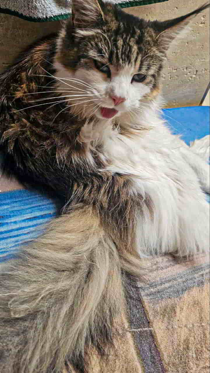 Hey guck nich so, bin beschäftigt Hey guck nich so, bin beschäftigt