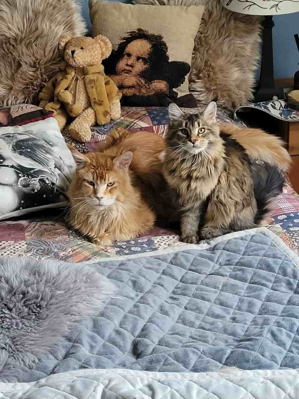 Ich werde das Gefühl nicht los das Anton eher auf die jüngeren Mädels steht Ich werde das Gefühl nicht los das Anton eher auf die jüngeren Mädels steht