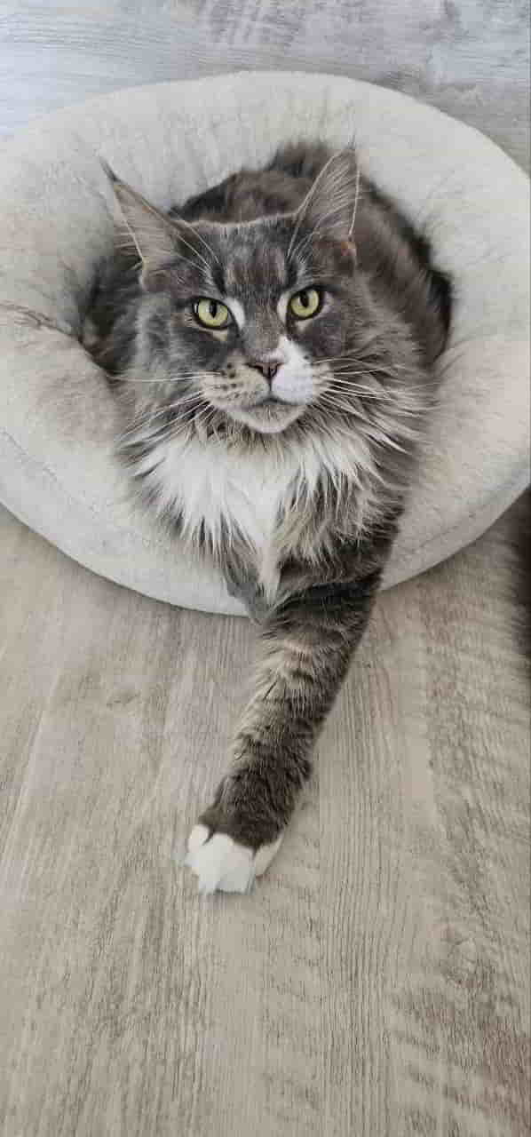 Isa wünscht ihren Geschwistern alles Gute zum 6. Geburtstag Isa wünscht ihren Geschwistern alles Gute zum 6. Geburtstag