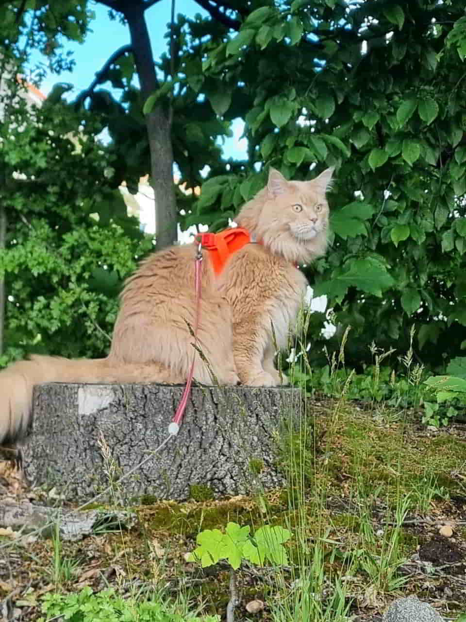 Justus on Tour Justus on Tour