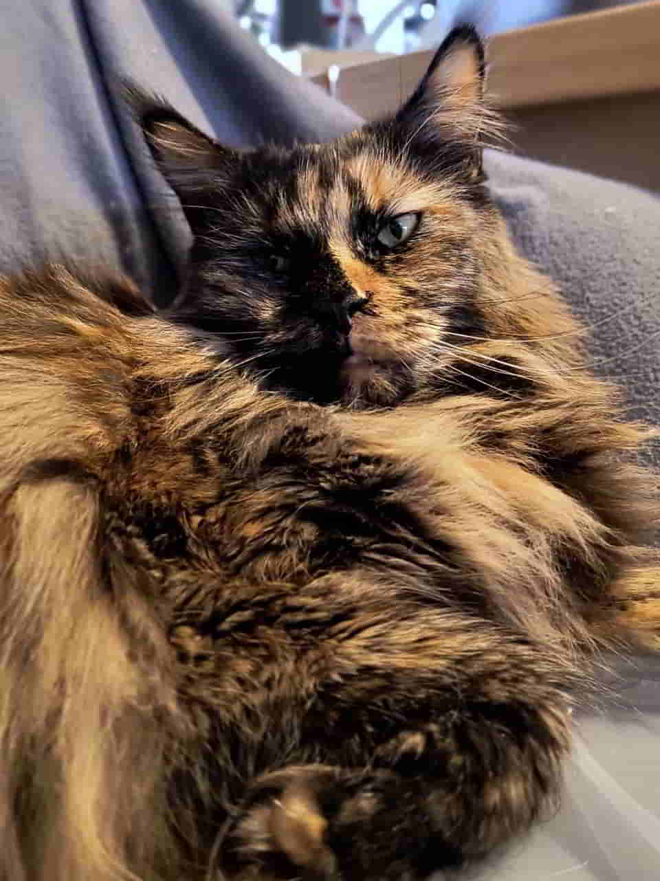 Jutta denkt sich, nicht schon wieder….. Jutta denkt sich, nicht schon wieder.....