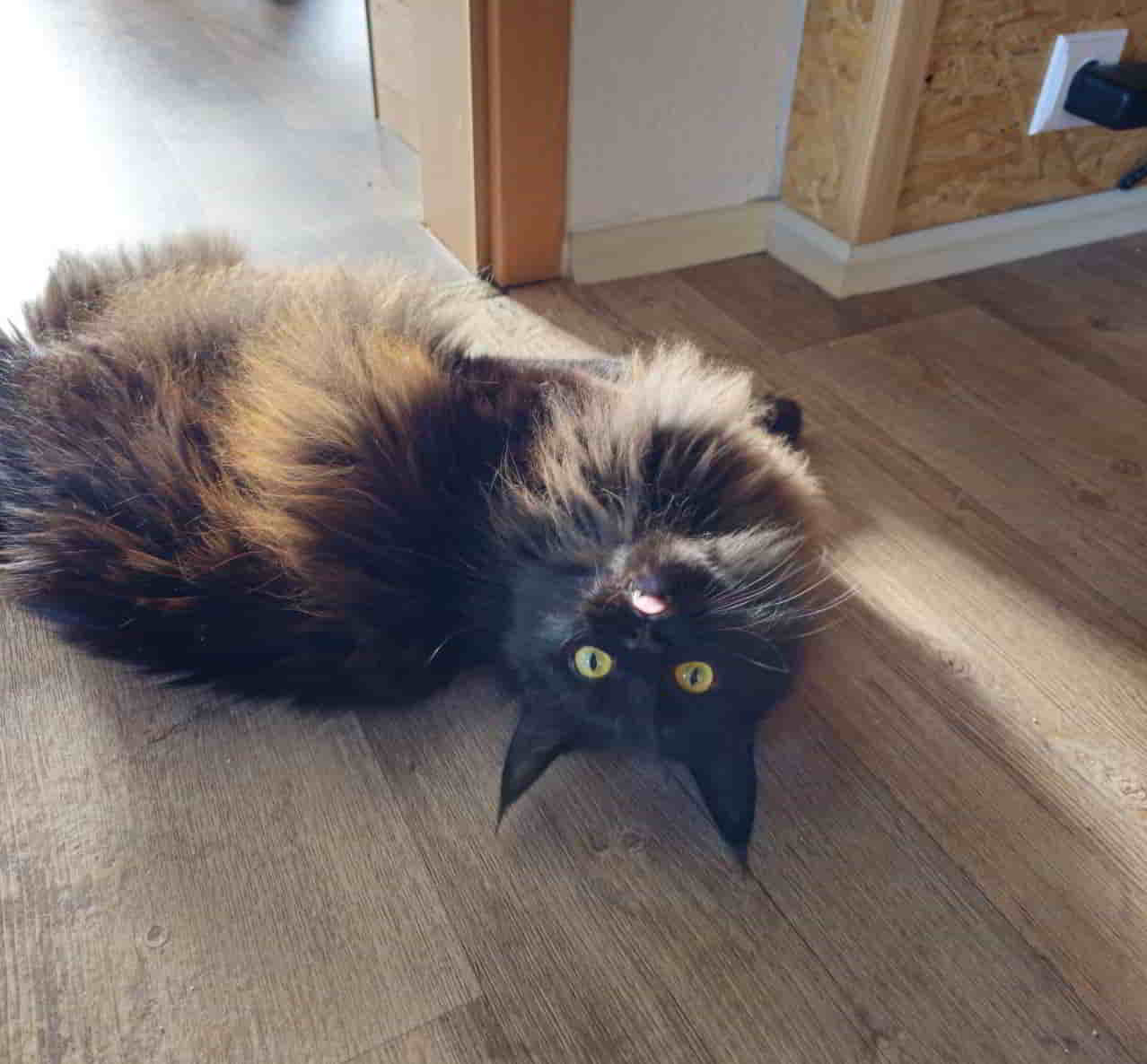 Mara 1 Jahr alt Mara 1 Jahr alt