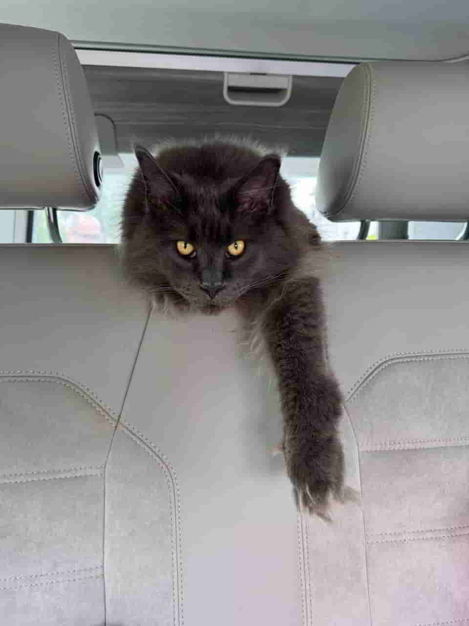 Mischa Was machst du denn daaaa Mischa Was machst du denn daaaa