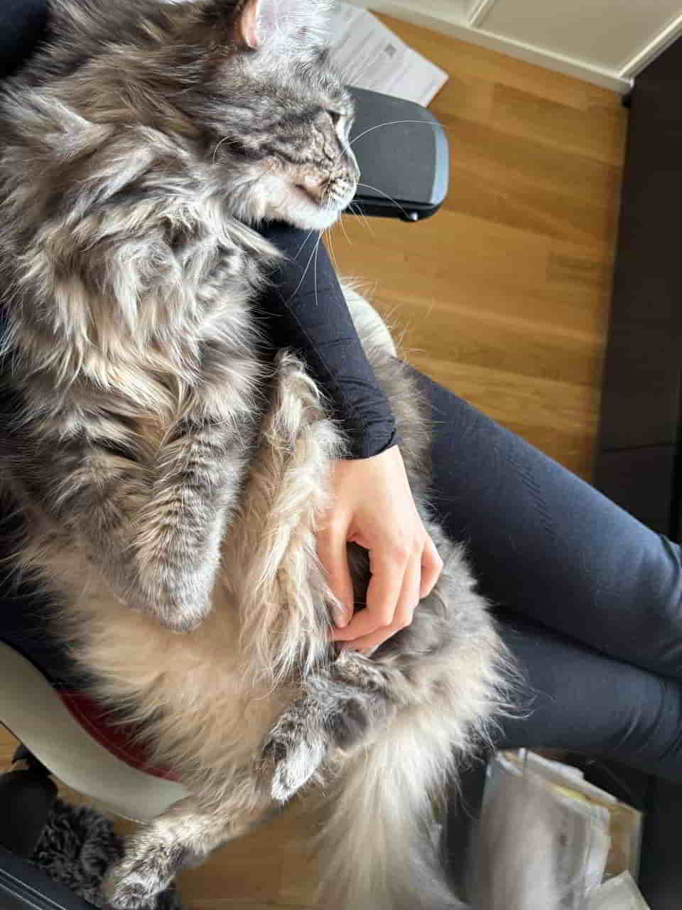 Mitarbeiter des Monats Mitarbeiter des Monats