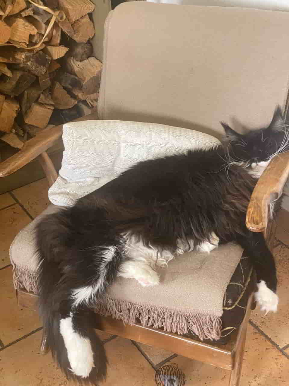 Rado Bergluft macht nicht nur hungrig sondern auch mega müde Rado Bergluft macht nicht nur hungrig sondern auch mega müde