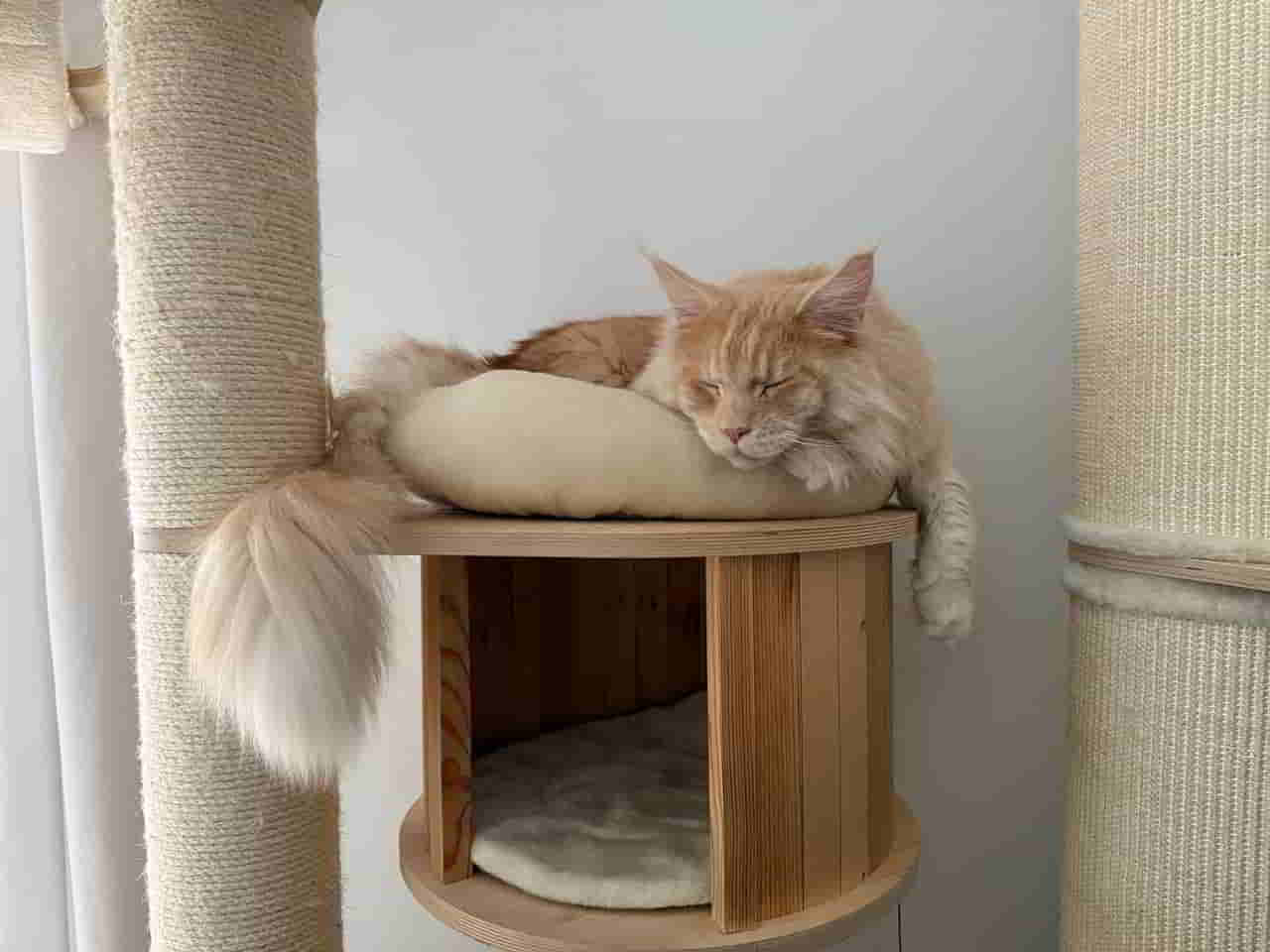 Ton in Ton Chillomat Ton in Ton Chillomat