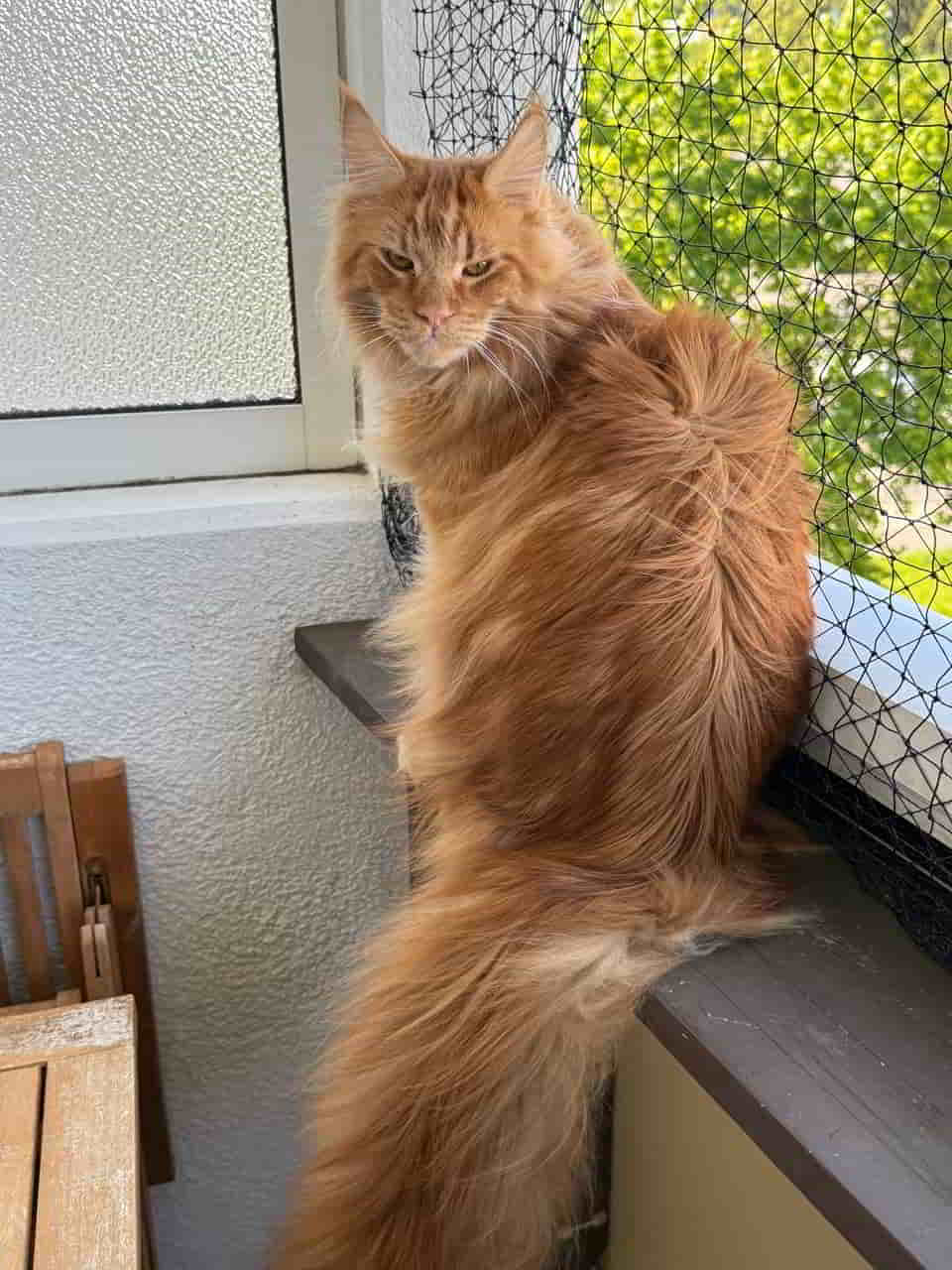 Ulf 1 Jahr alt Ulf 1 Jahr alt