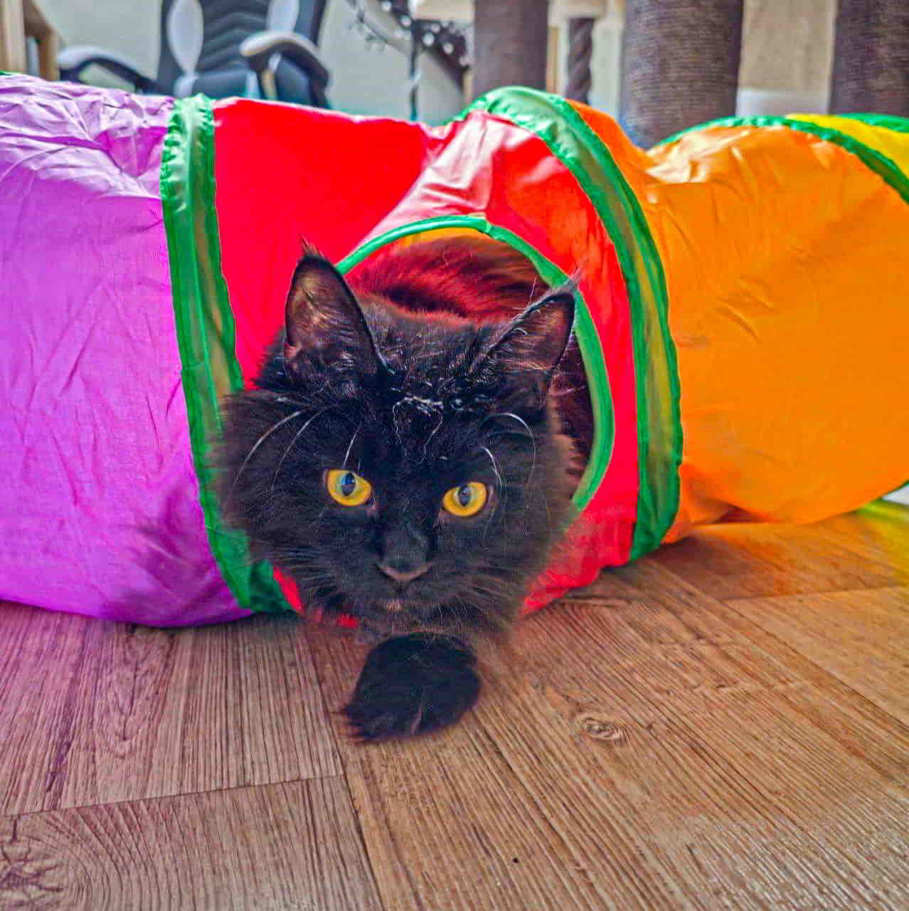 Wer ist wunderschön Ich bin wunderschön Wer ist wunderschön Ich bin wunderschön