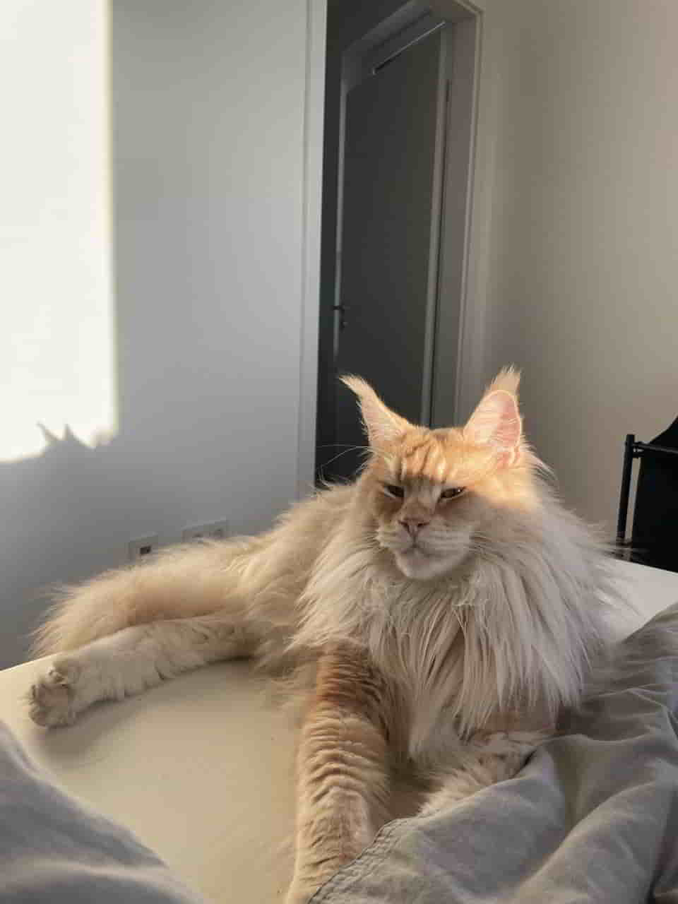 ins Bett zum Sonnen ins Bett zum Sonnen