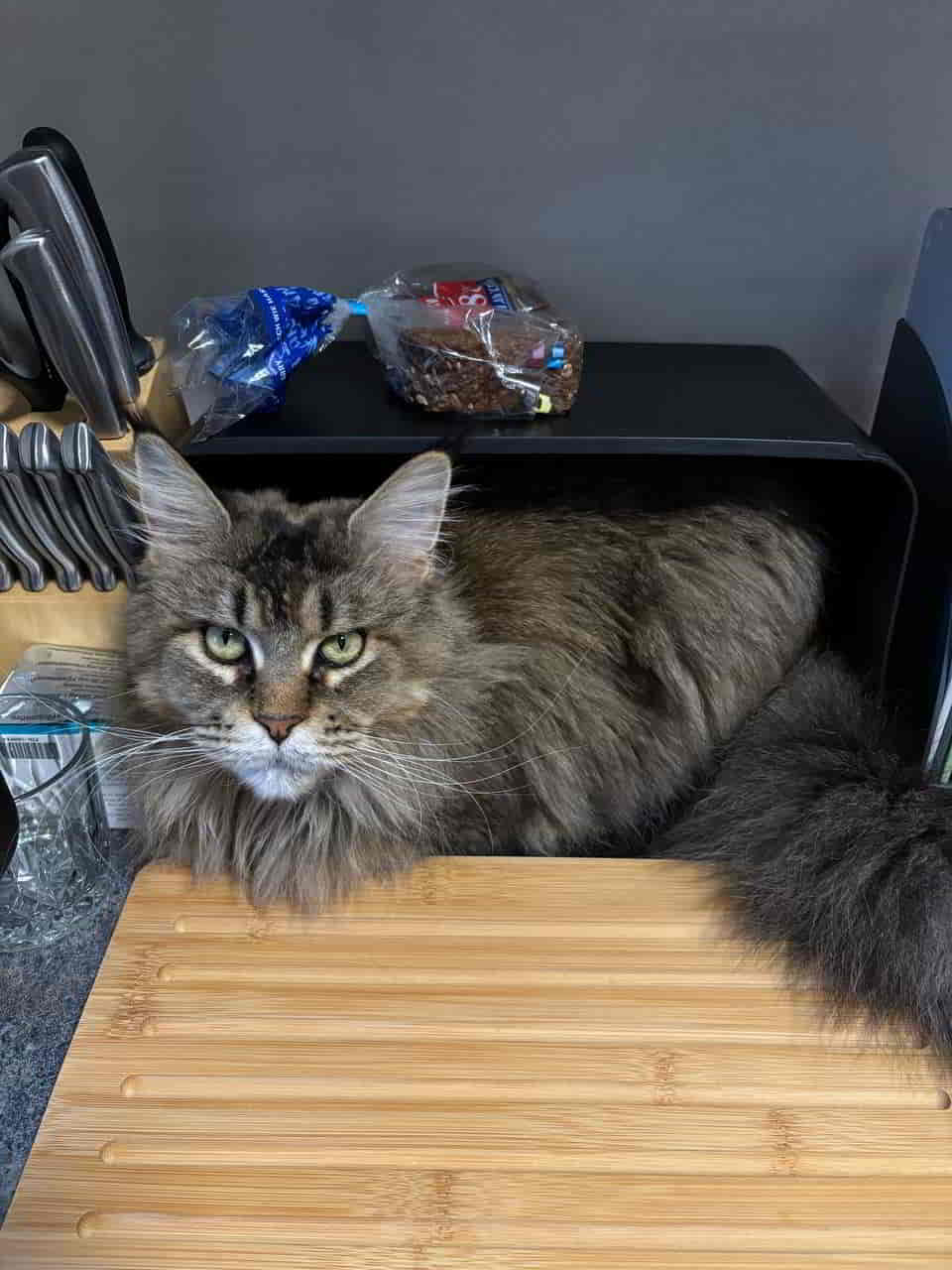 ist kein brotkasten mehr sondern ein nadjakasten ist kein brotkasten mehr sondern ein nadjakasten