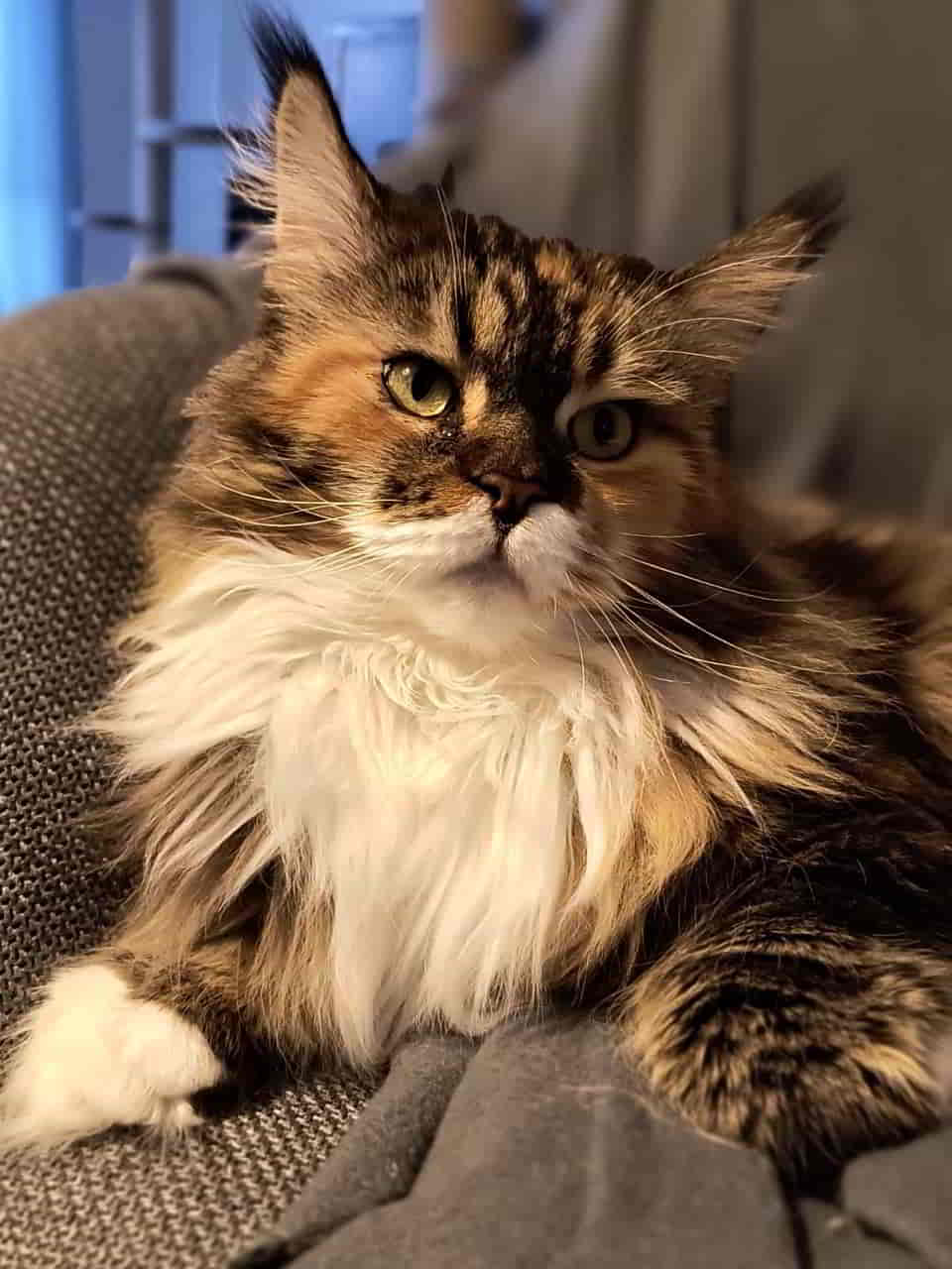 pieglein, Spieglein…. pieglein, Spieglein....