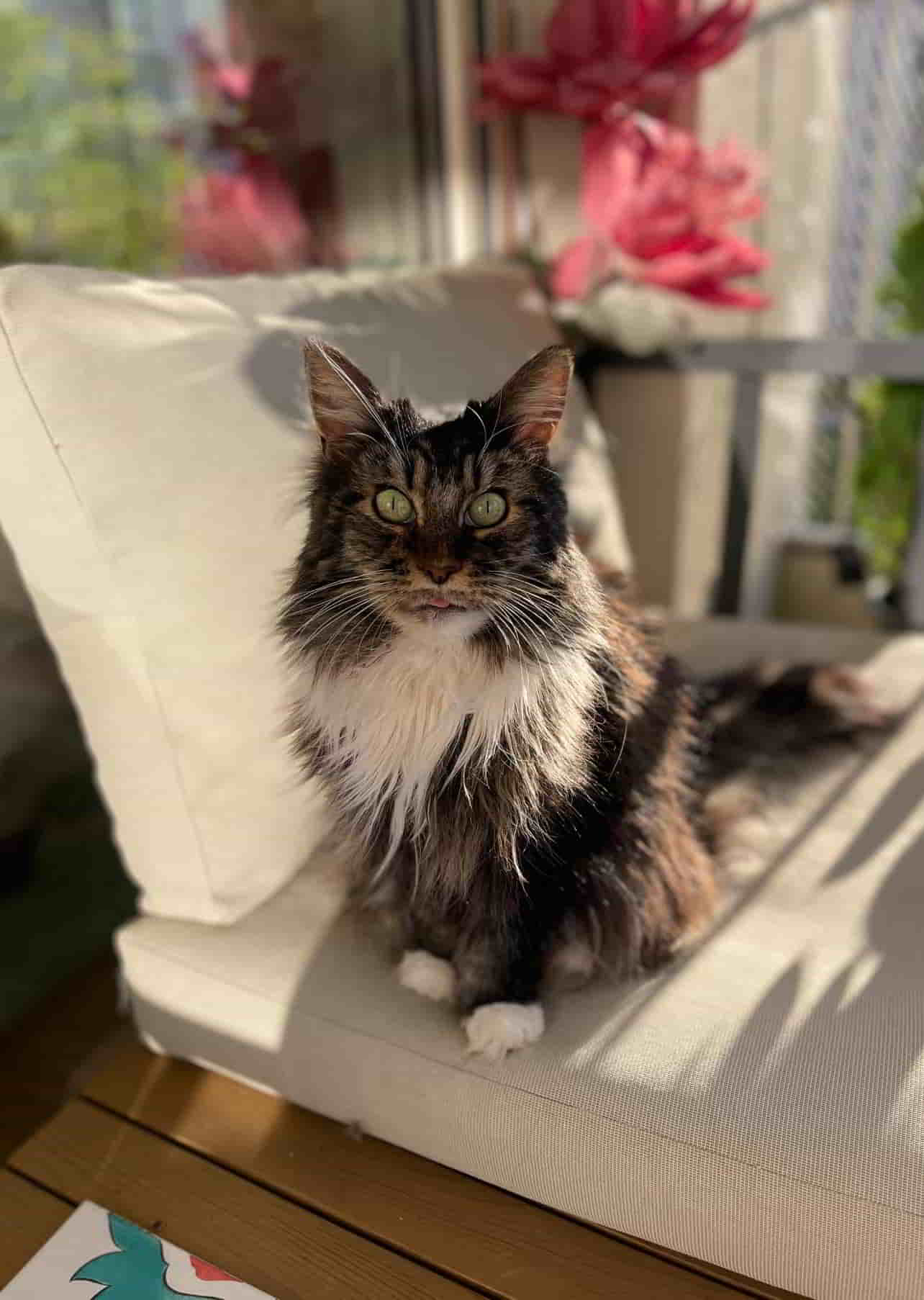 schöne Maika schöne Maika