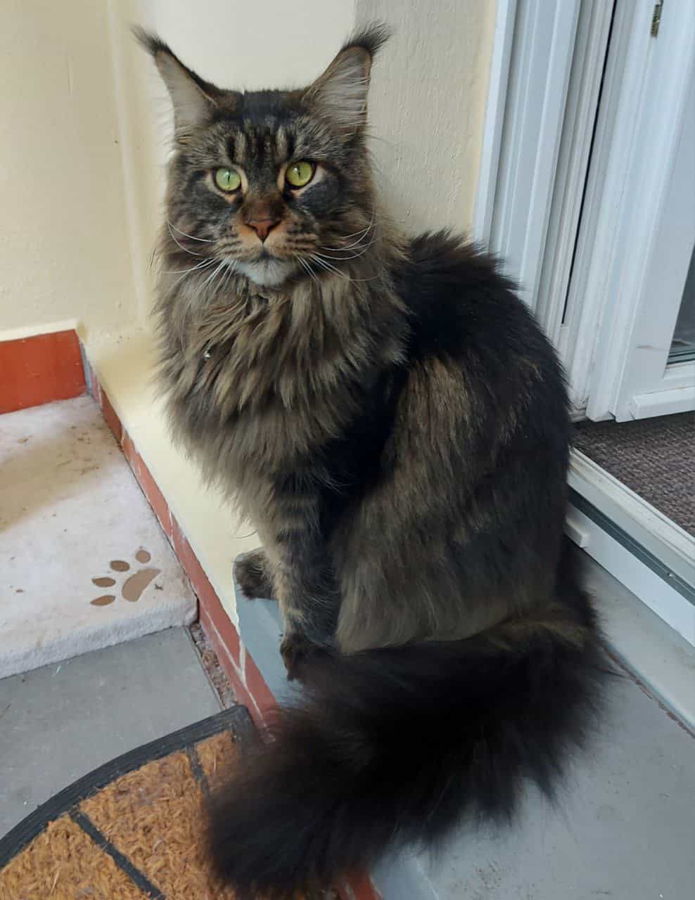 10 kg Seelchen 10 kg Seelchen