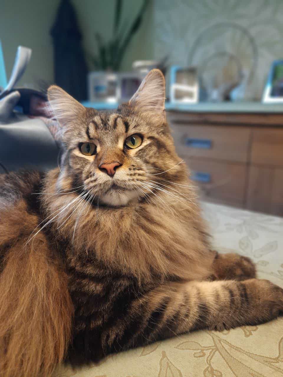 Guten Morgen Guten Morgen