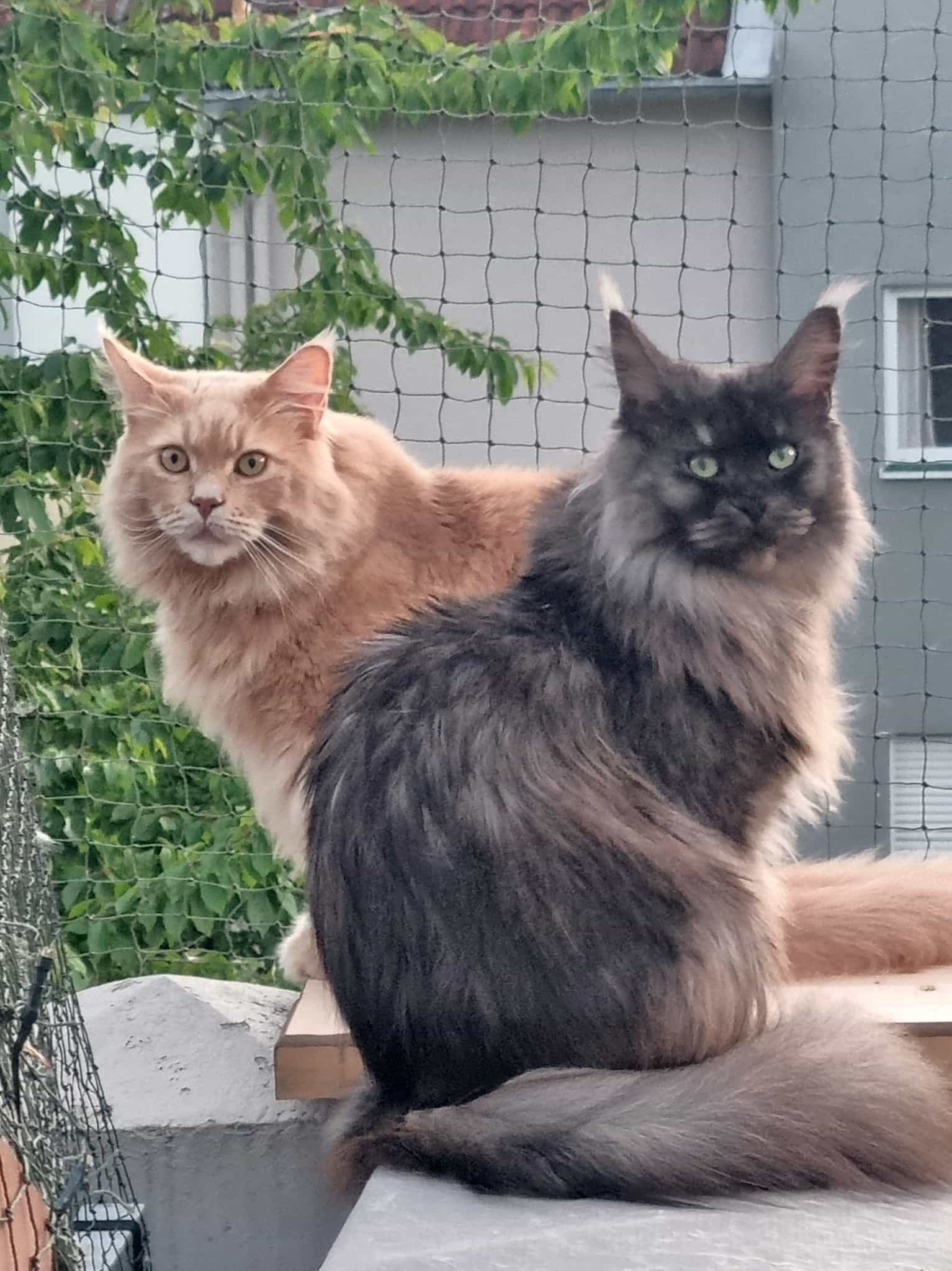 Justus und Franka Justus und Franka