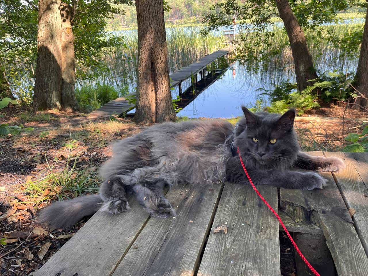 Mischa macht Urlaub Mischa macht Urlaub