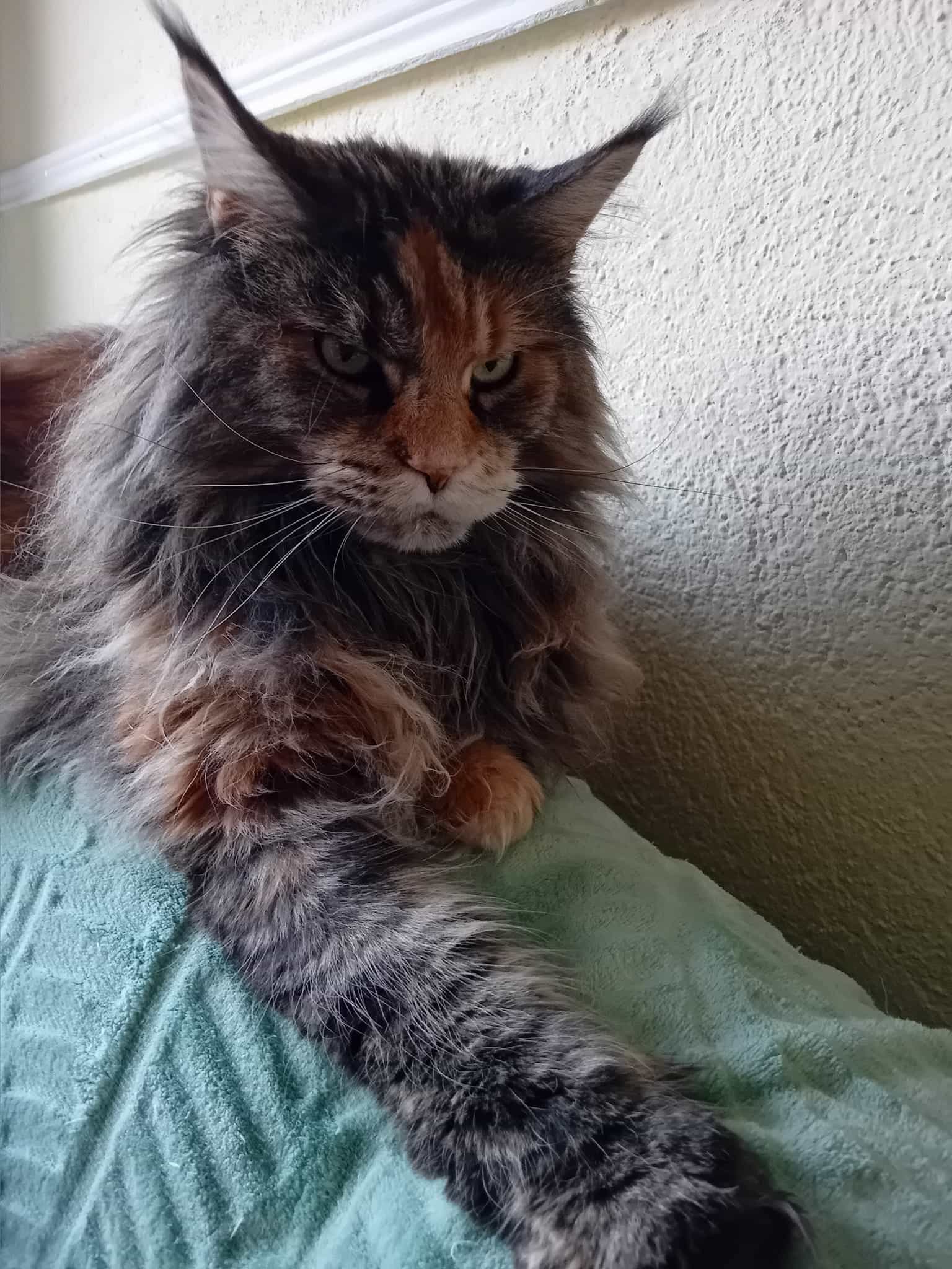 Peggy 7 Jahre alt Peggy 7 Jahre alt