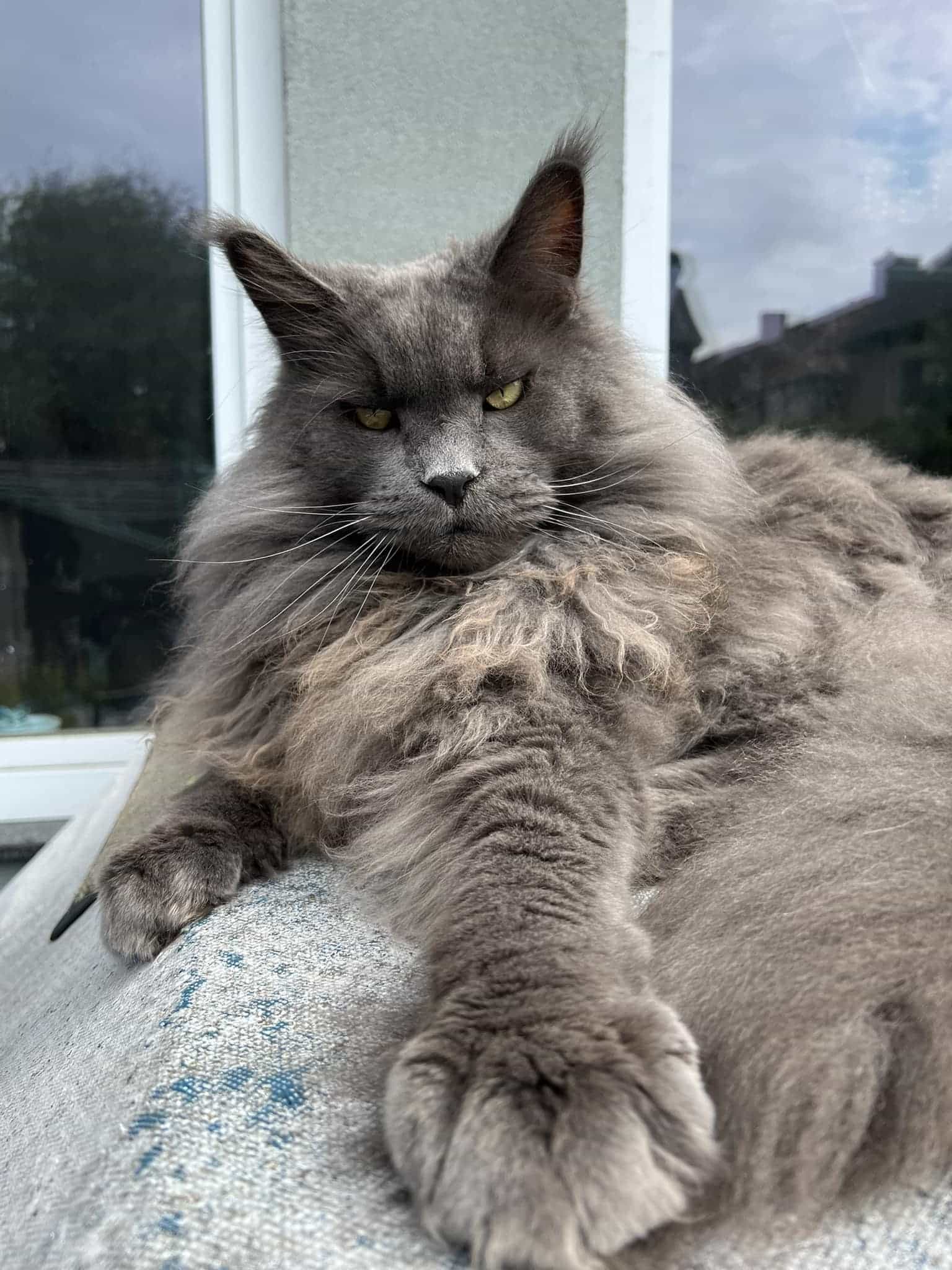 Peter 6 Jahre und 6 Monate alt Peter 6 Jahre und 6 Monate alt