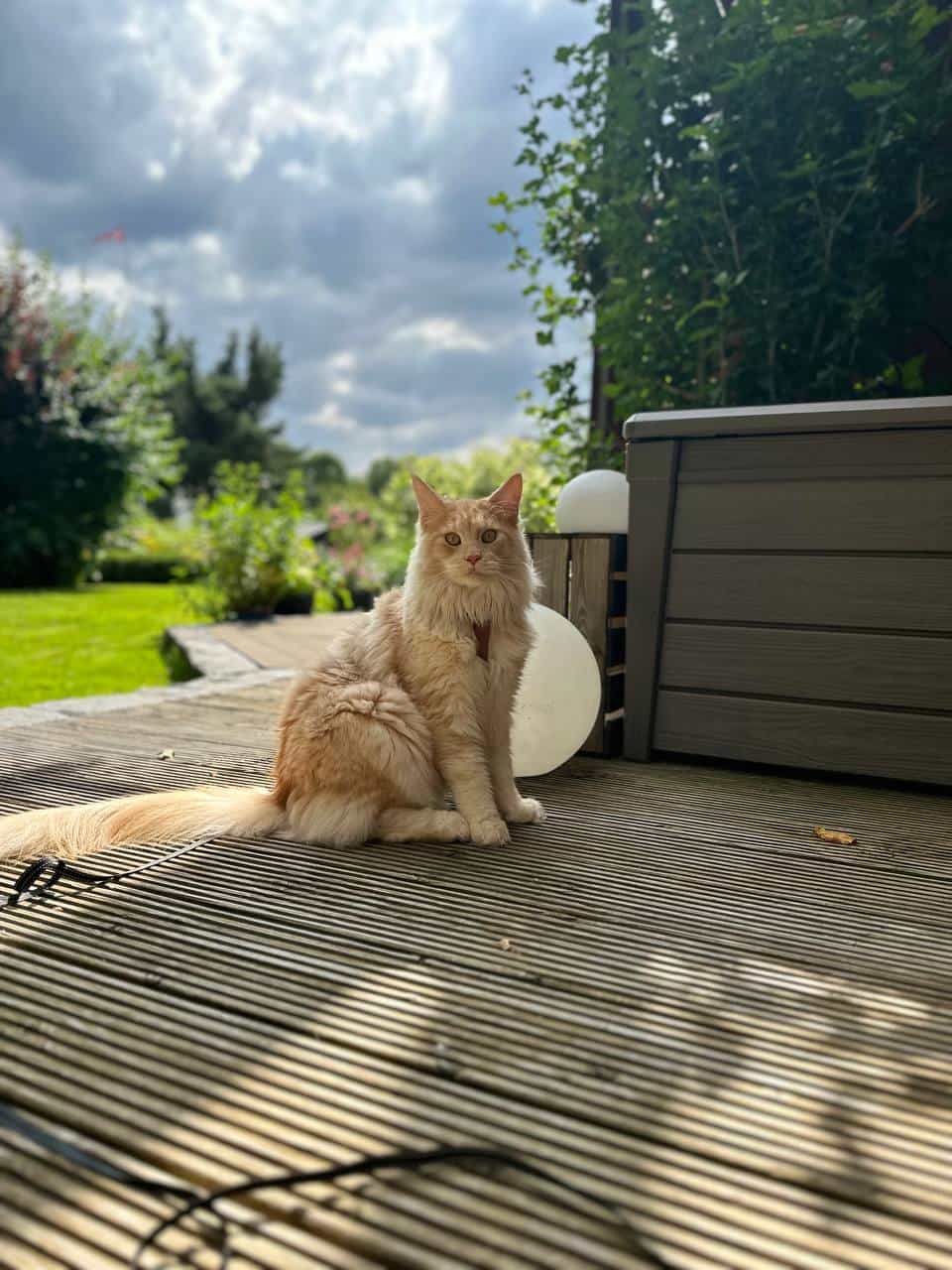 Quiet Fire im Freien Quiet Fire im Freien