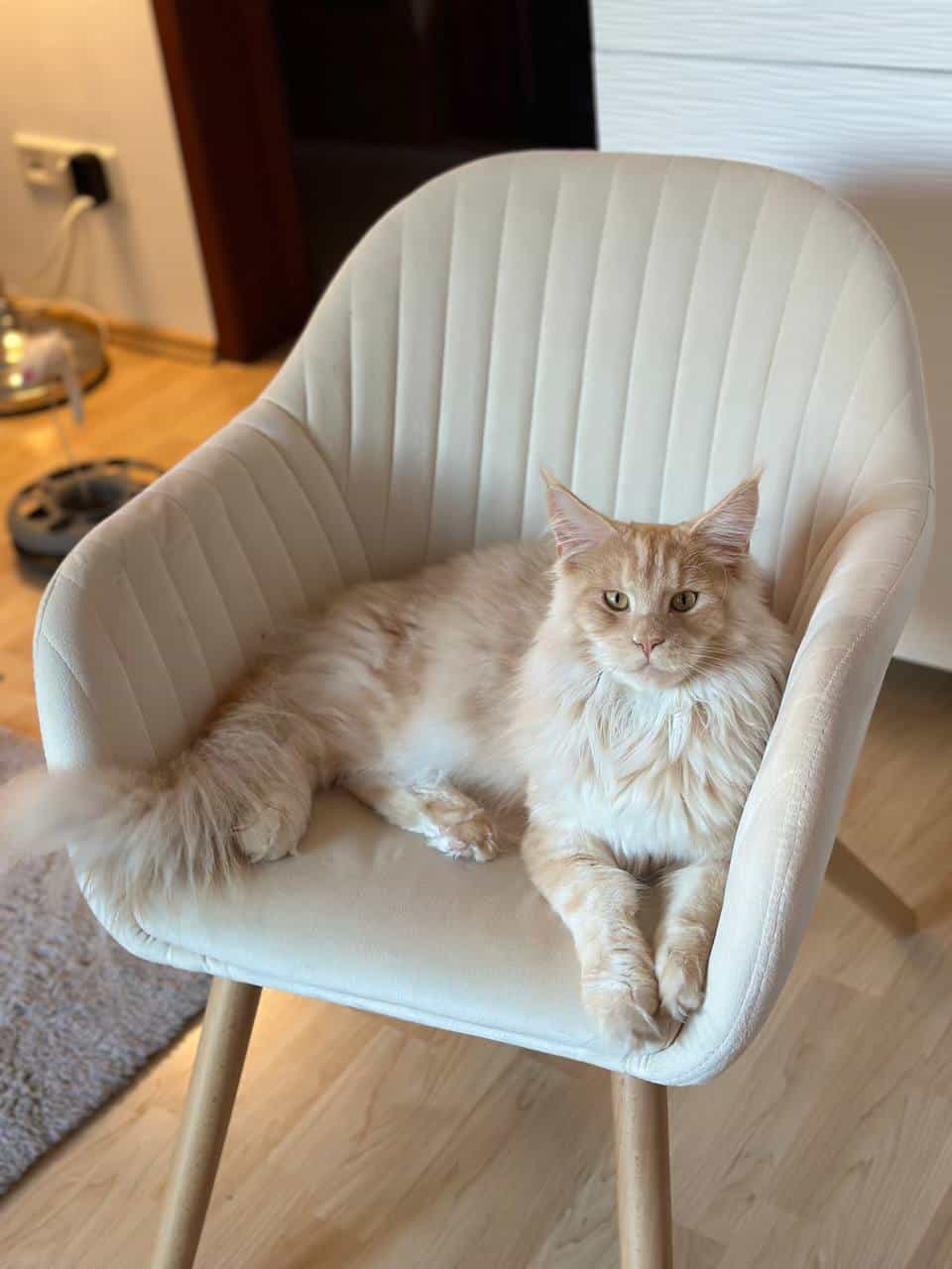 Quiet Fire Quiet Fire