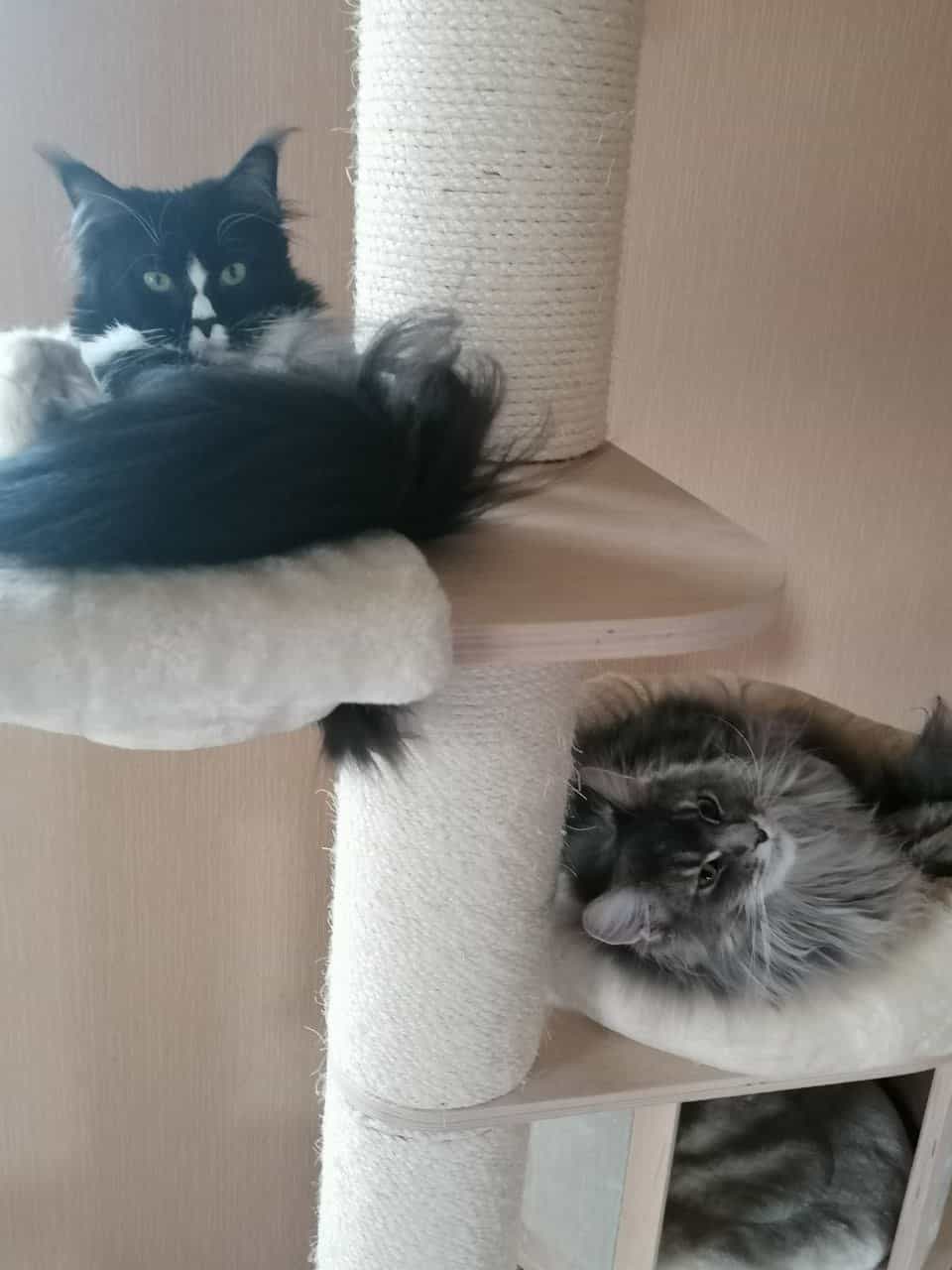 Ruby und Kimmy die Gurke wünschen allen ein schönes Wochenende Ruby und Kimmy die Gurke wünschen allen ein schönes Wochenende