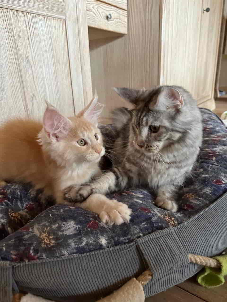 Baby Quieti und Mama Kimy