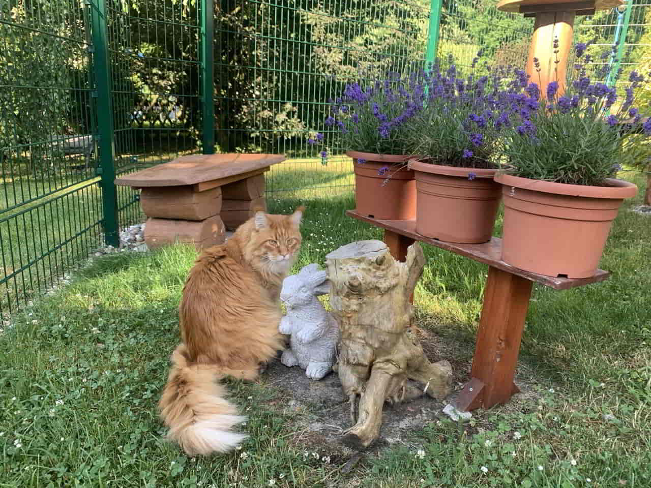 Guten Morgen aus der warmen Oberlausitz.