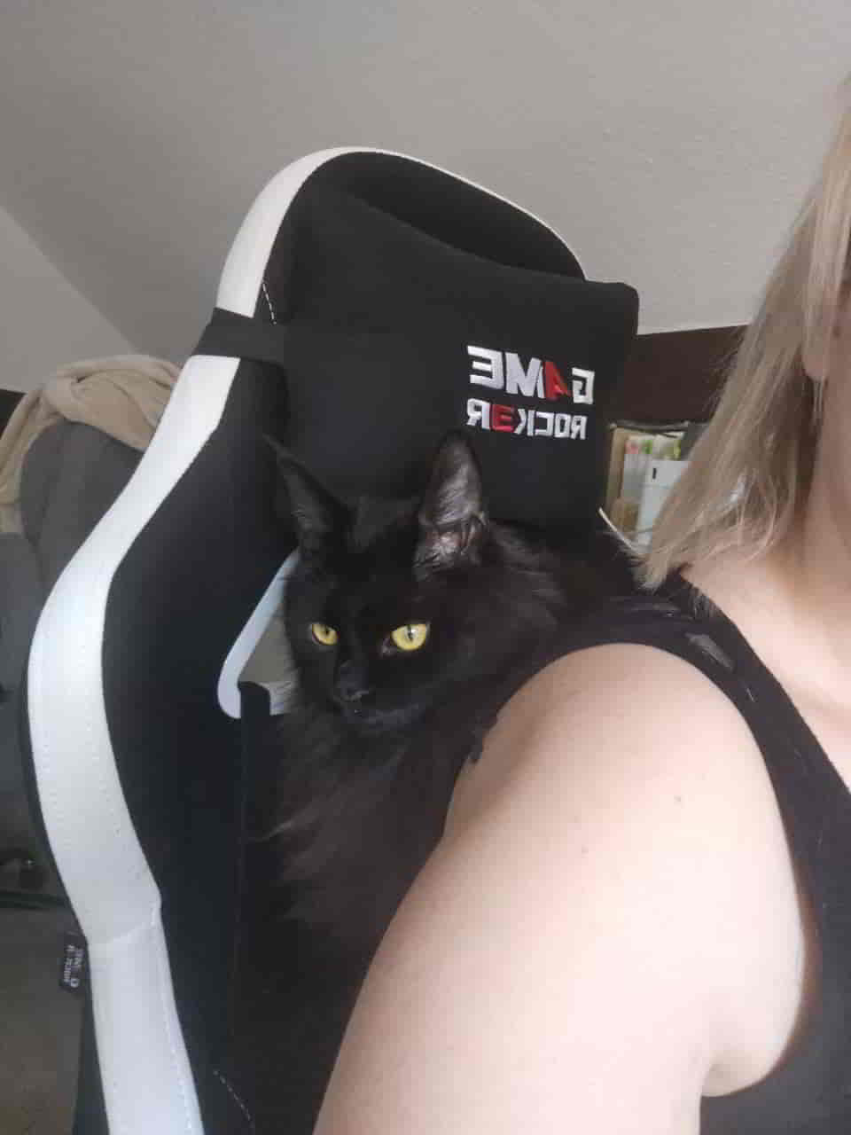 Homeoffice mit Rückendeckung