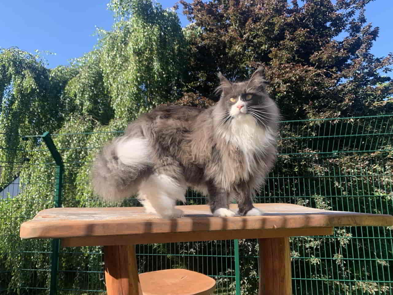 Molly in luftiger Höhe!