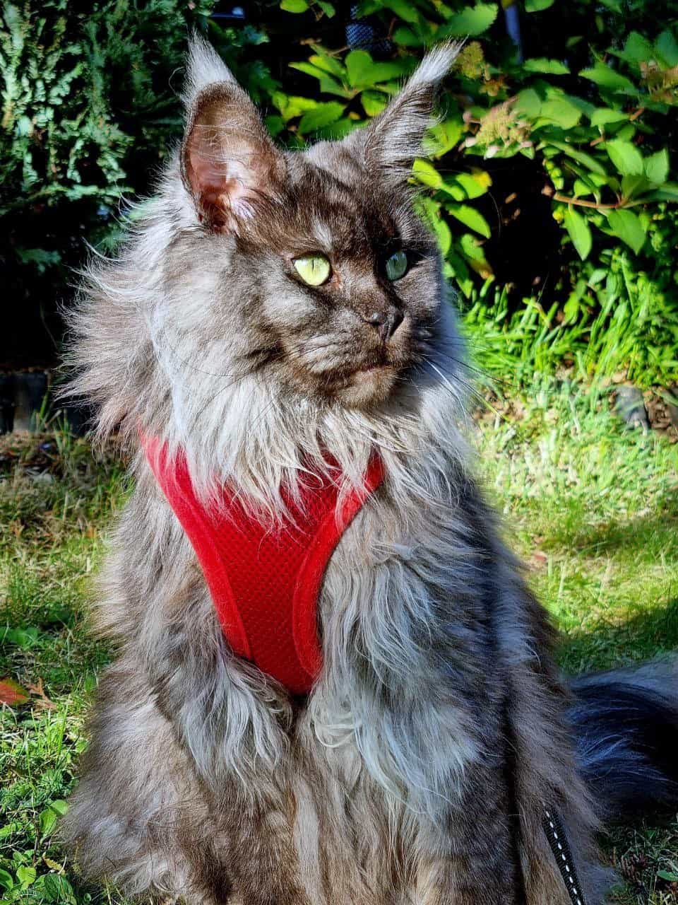 Endlich kein blöder Regen mehr Endlich kein blöder Regen mehr