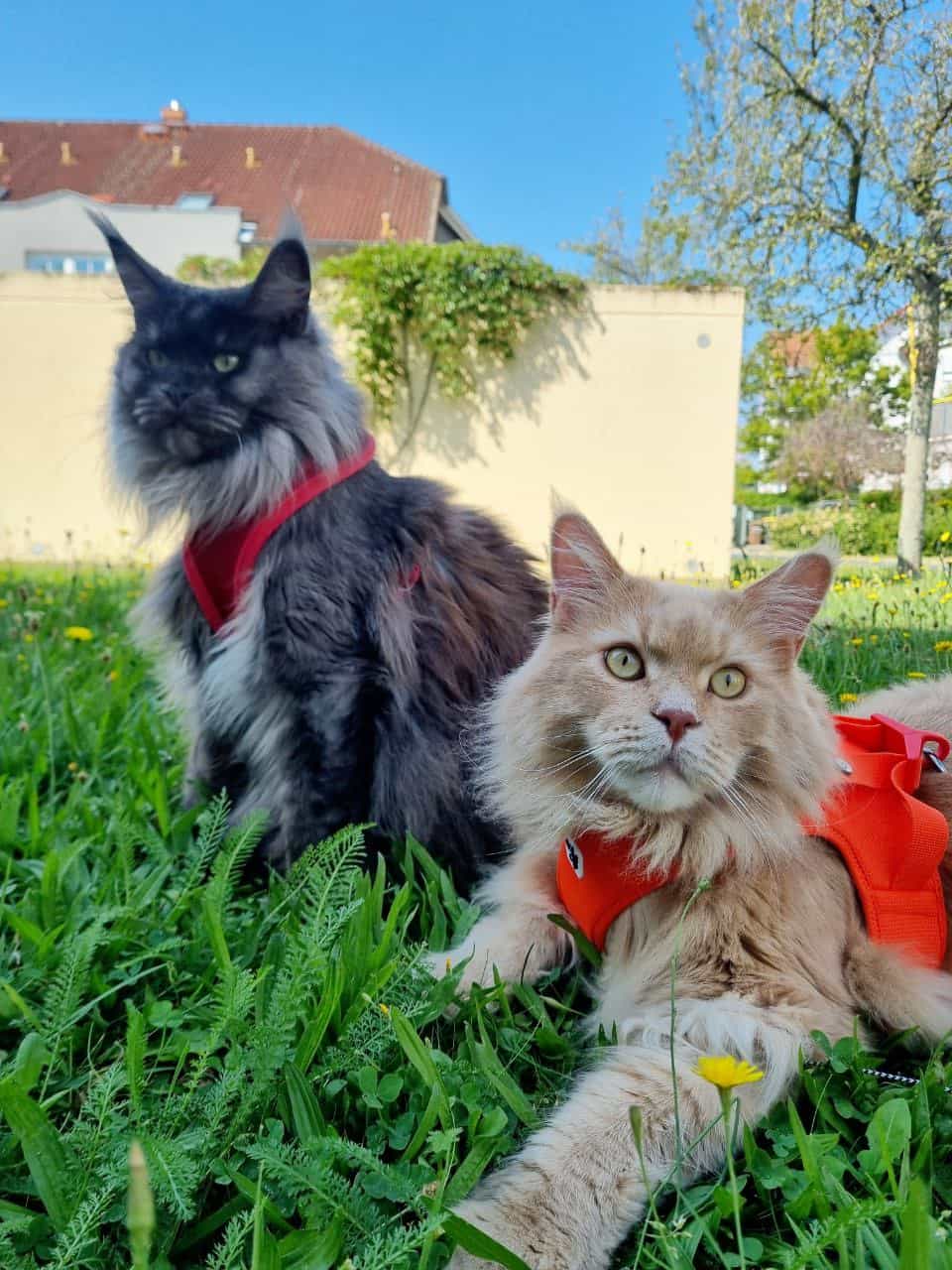 Franka und Justus Franka und Justus