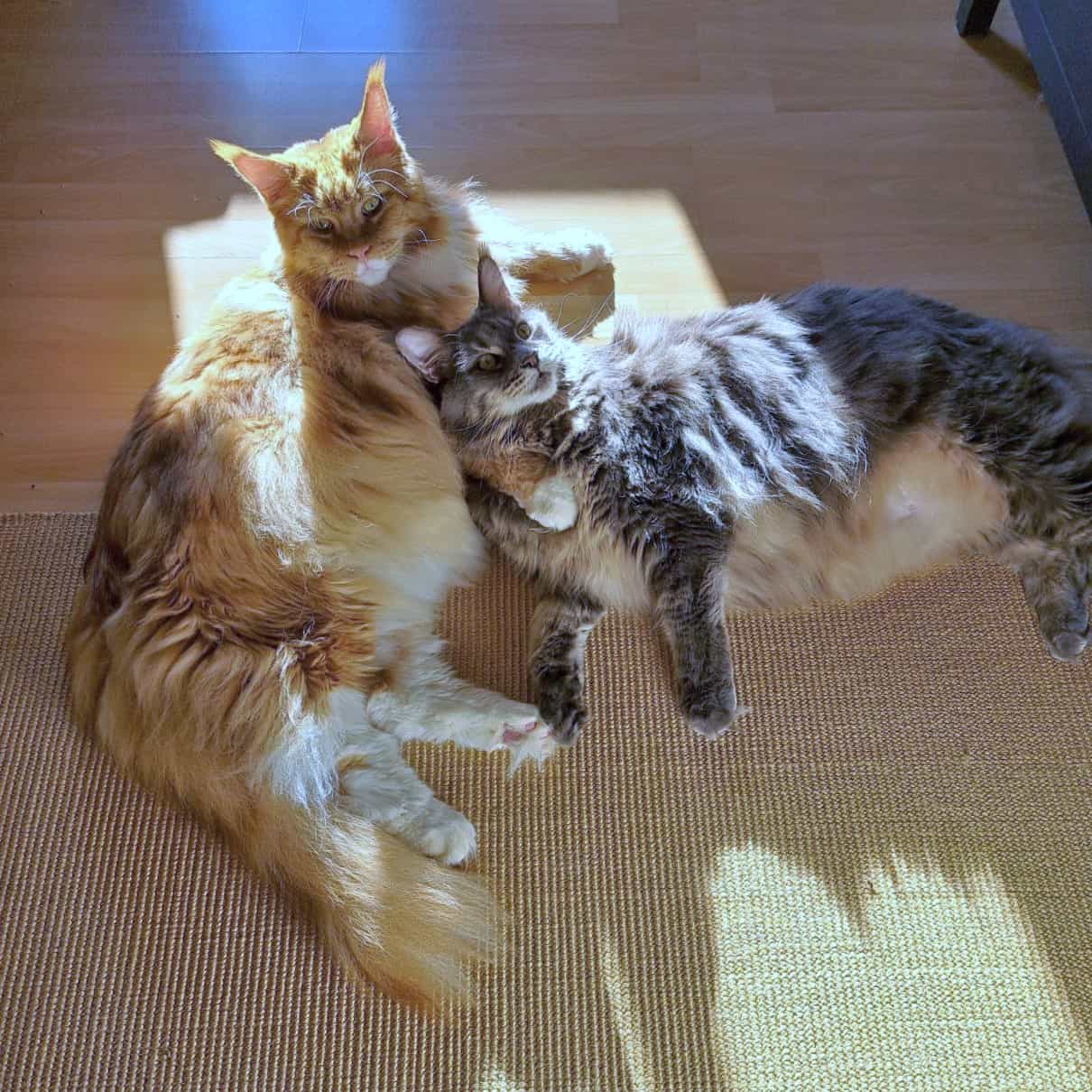 Guten Morgen aus Bautzen Guten Morgen aus Bautzen