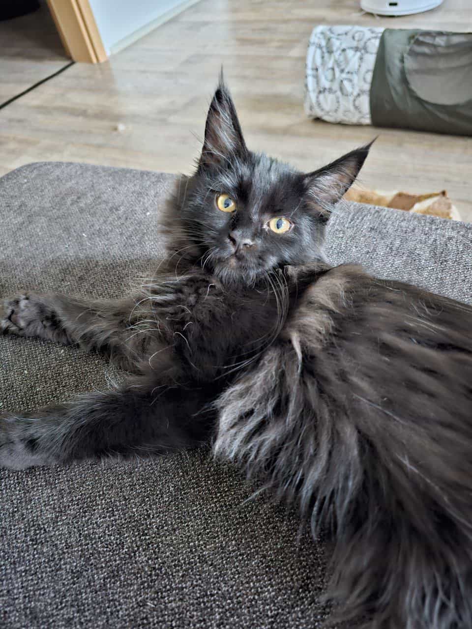 Mara mit bürgerlichem Namen Uta Mara mit bürgerlichem Namen Uta