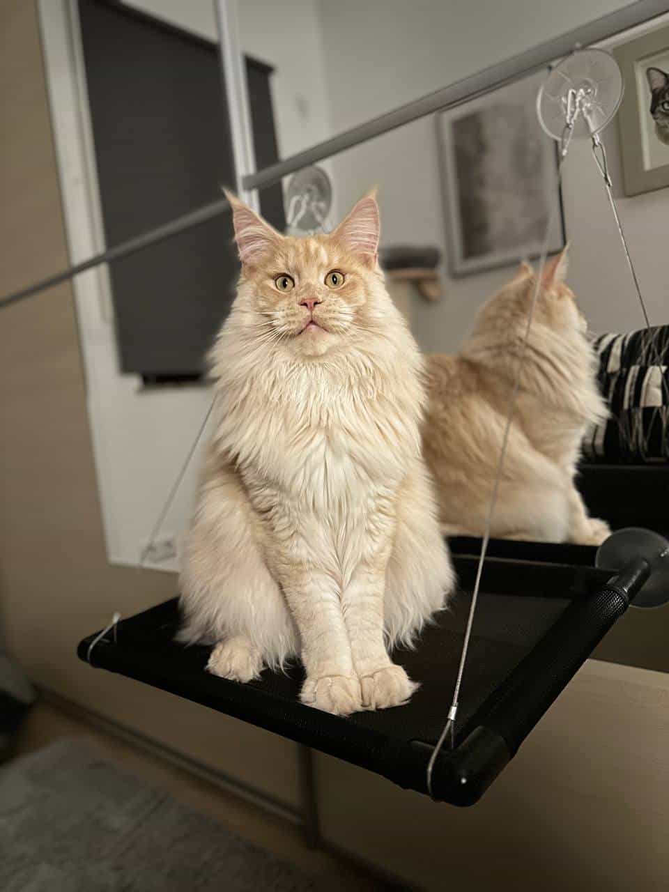 Quiet Fire Quiet Fire