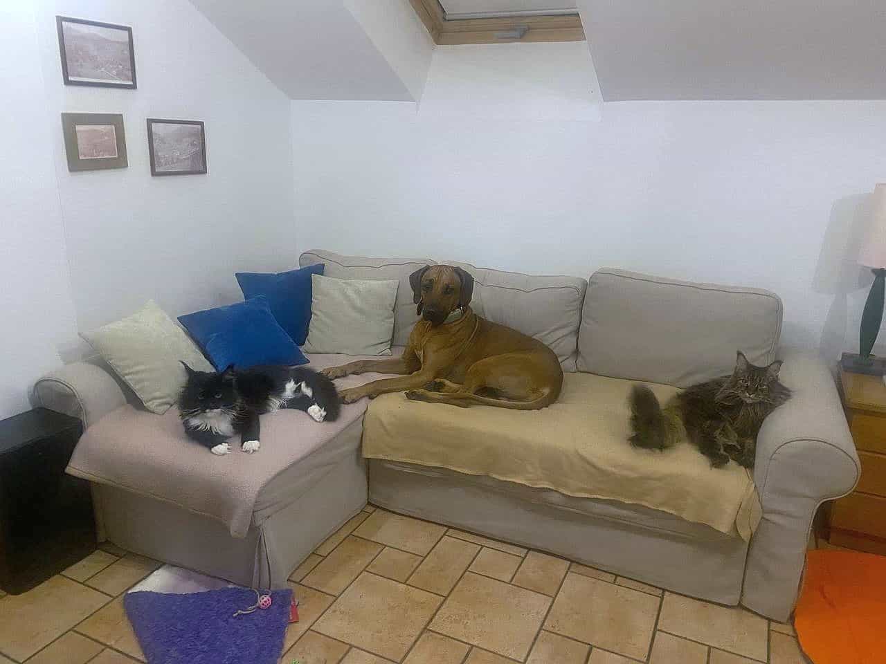 Rado mit seinen Kumpels im Urlaub Rado mit seinen Kumpels im Urlaub