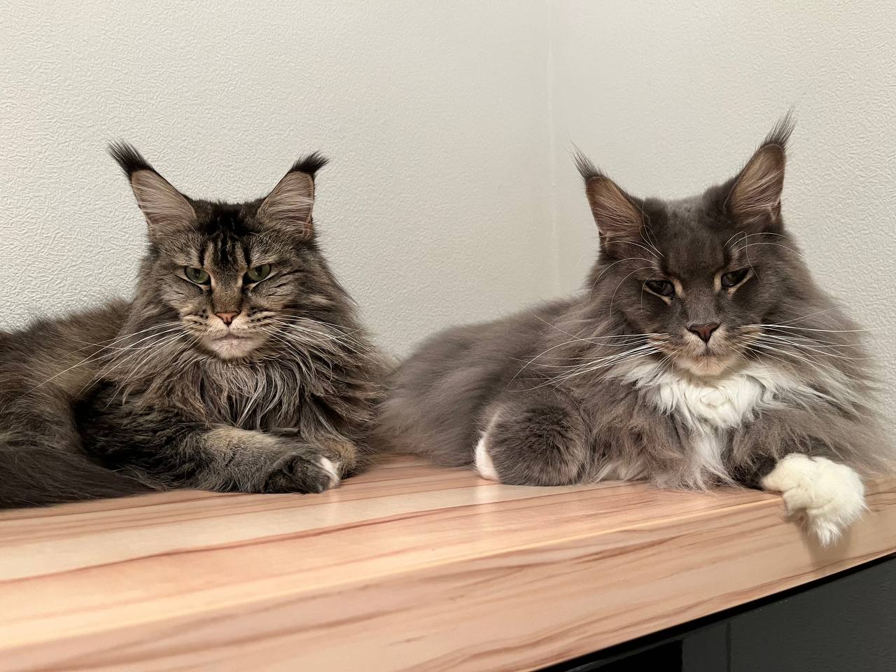 Adele und Bodo Adele und Bodo