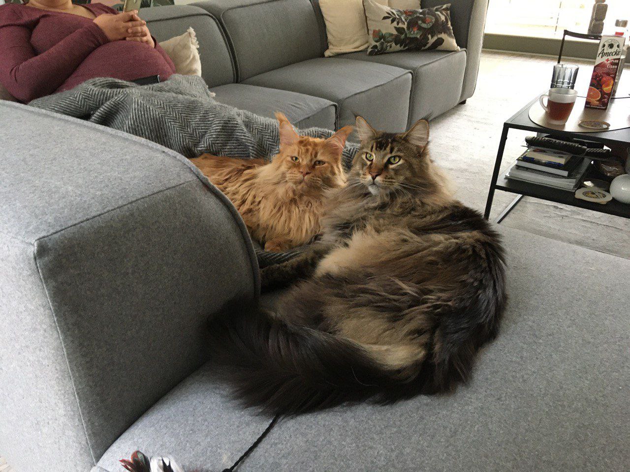 Dave und Nick Dave und Nick