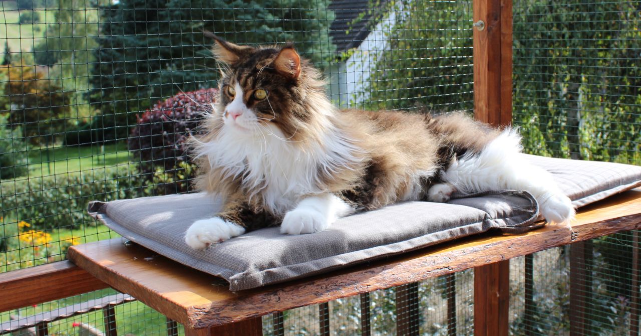 Dean of MCC grüßt ganz lieb seine Schwester Dina Dean of MCC grüßt ganz lieb seine Schwester Dina