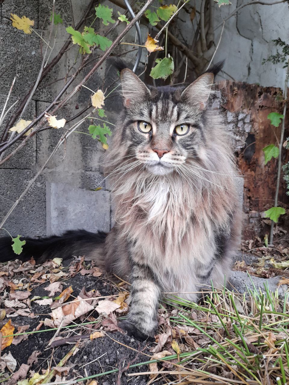 Diana grüßt Dean Diana grüßt Dean